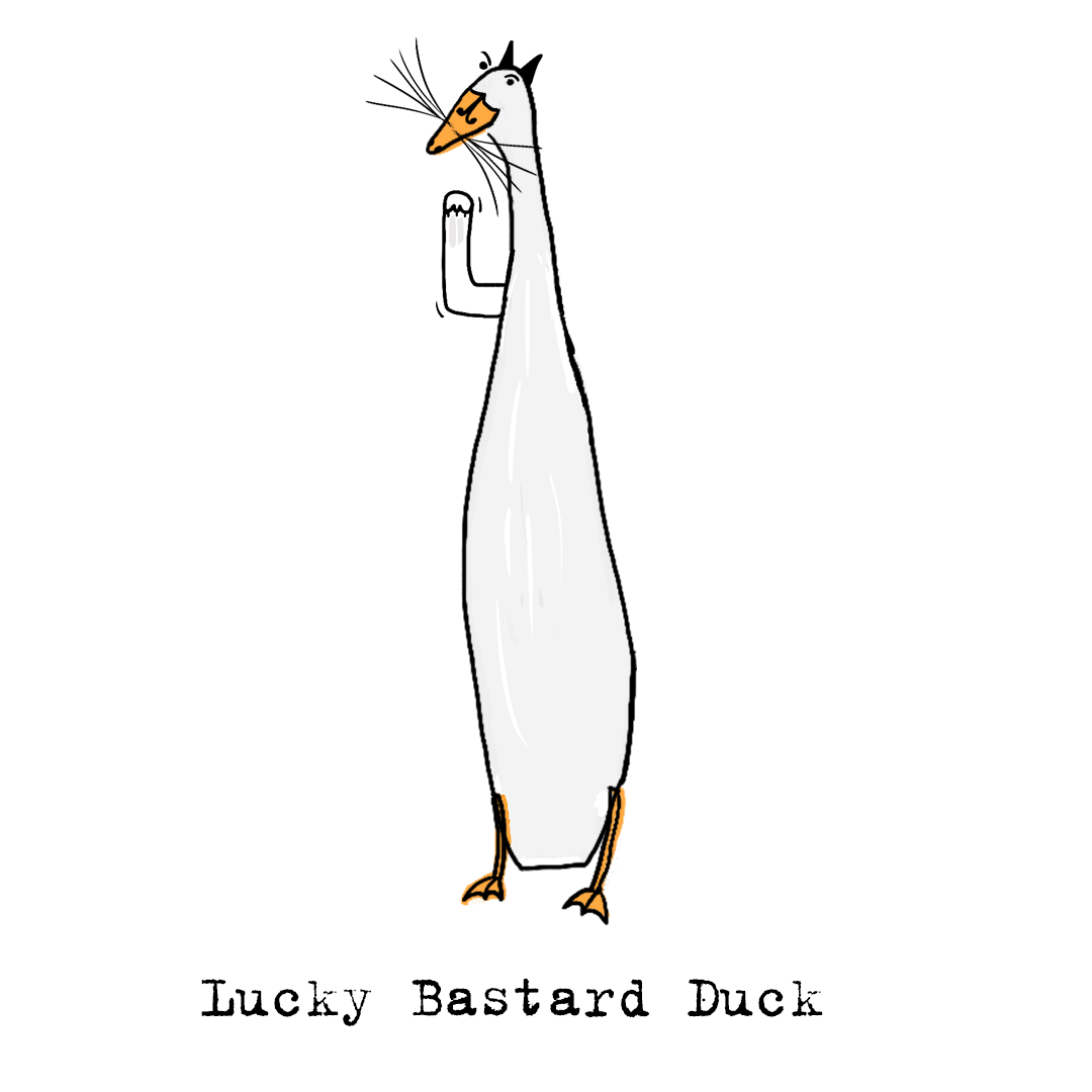 This duck is named after my cat, who frankly, is a real bastard.