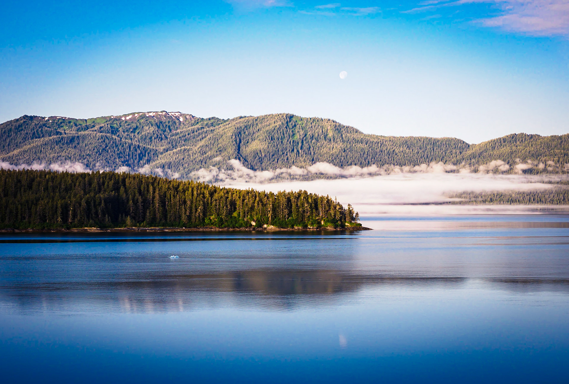 Endicott Arm Shoreline from the Celebrity Millennium