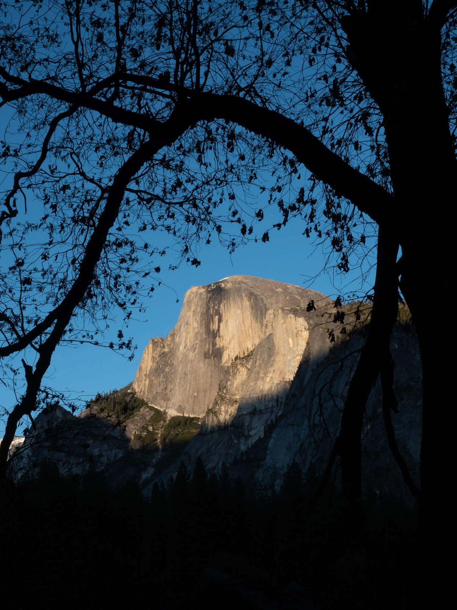 Half-Dome in late afternoon