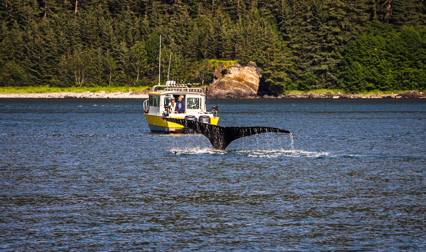 Whale-watching in Juneau Alaska