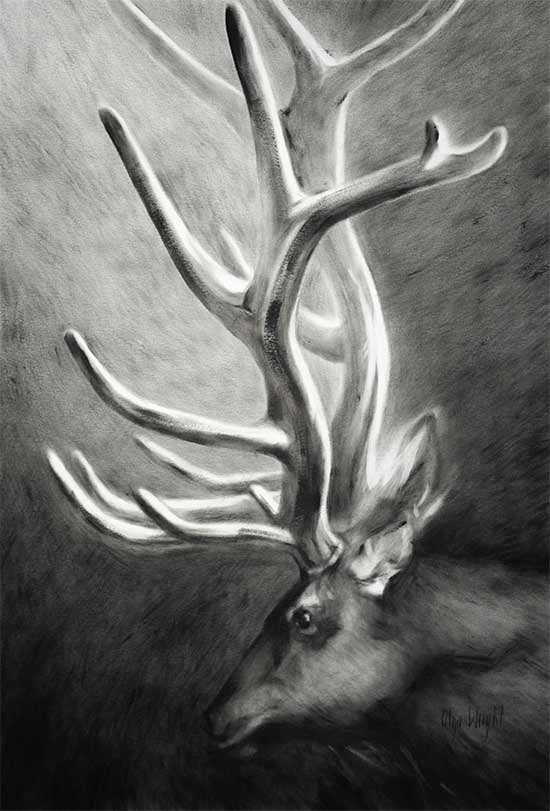 "Dark Velvet" / Dry Brush / 19"x13" / Available
