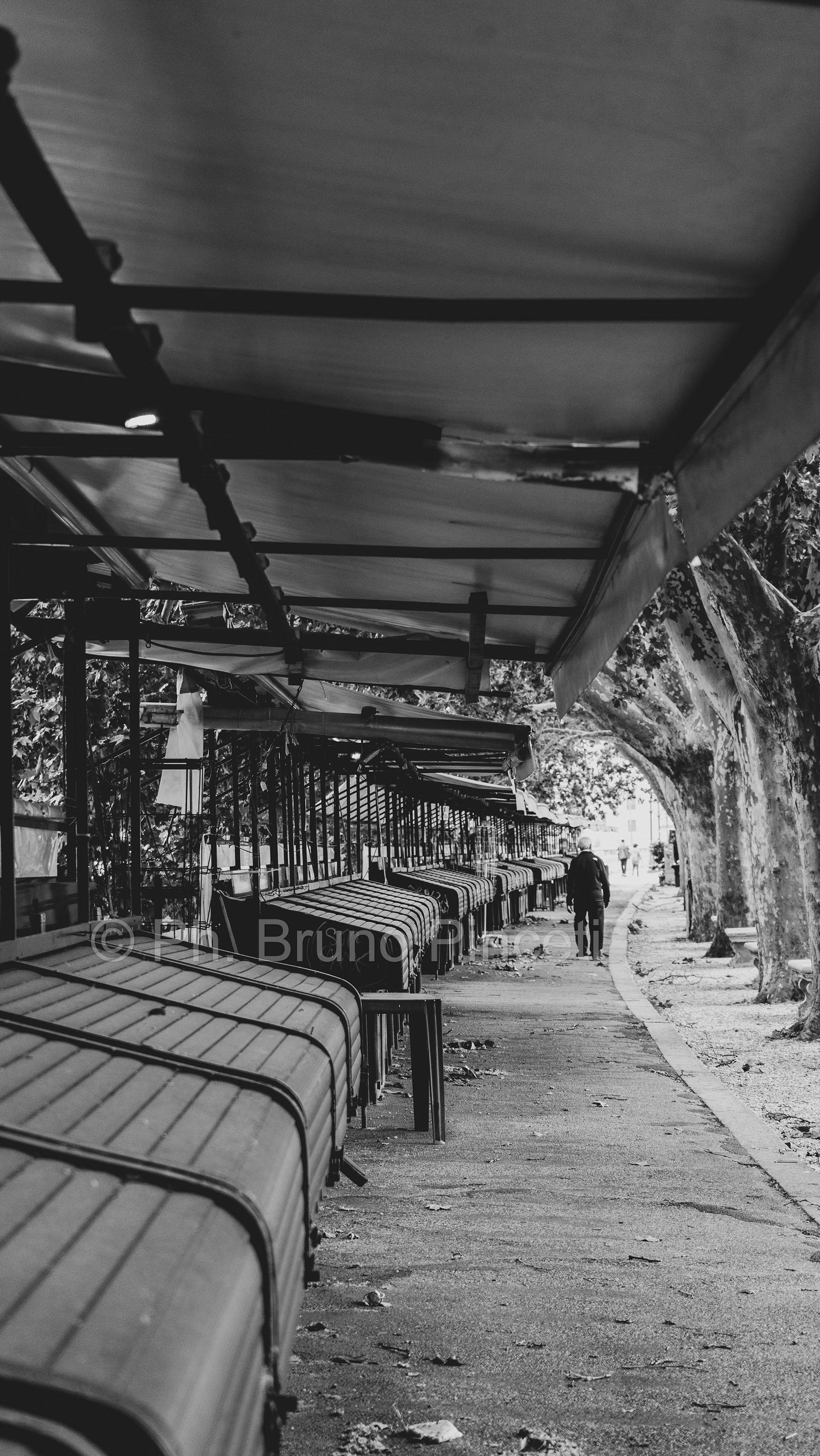 Street