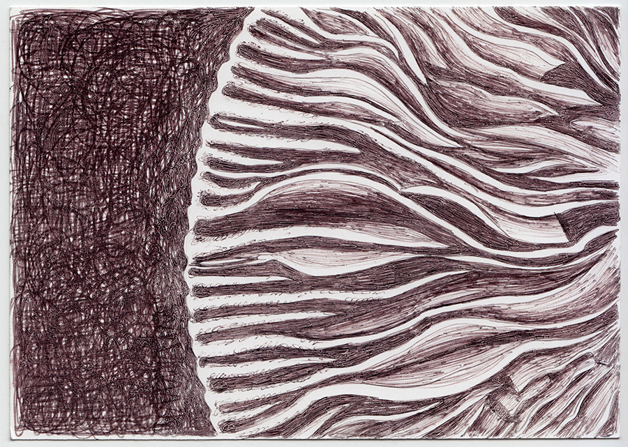 Edge of 'shroom - 2017, biro on postcard, A6 £10