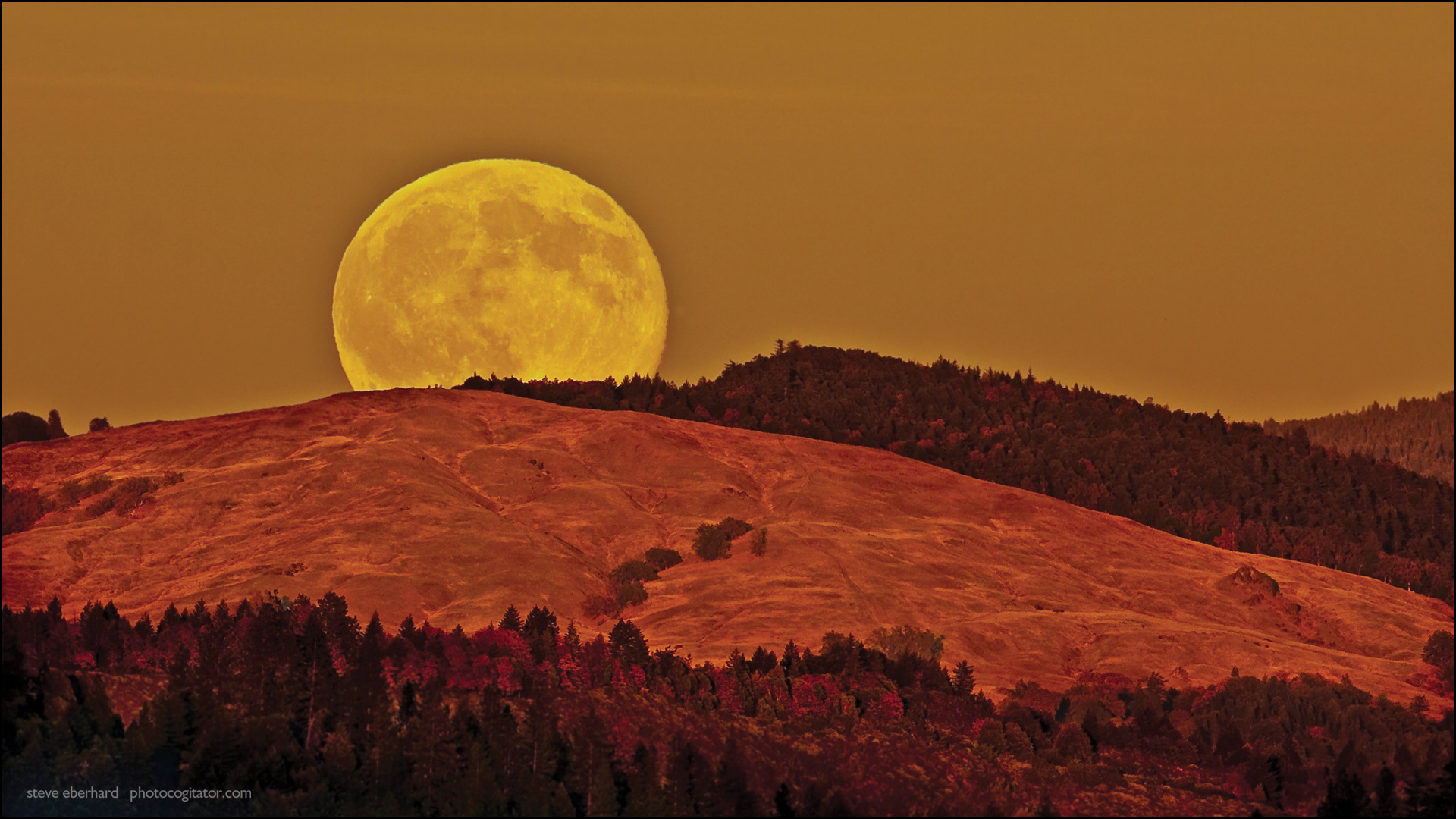 Harvest Moon over Willits