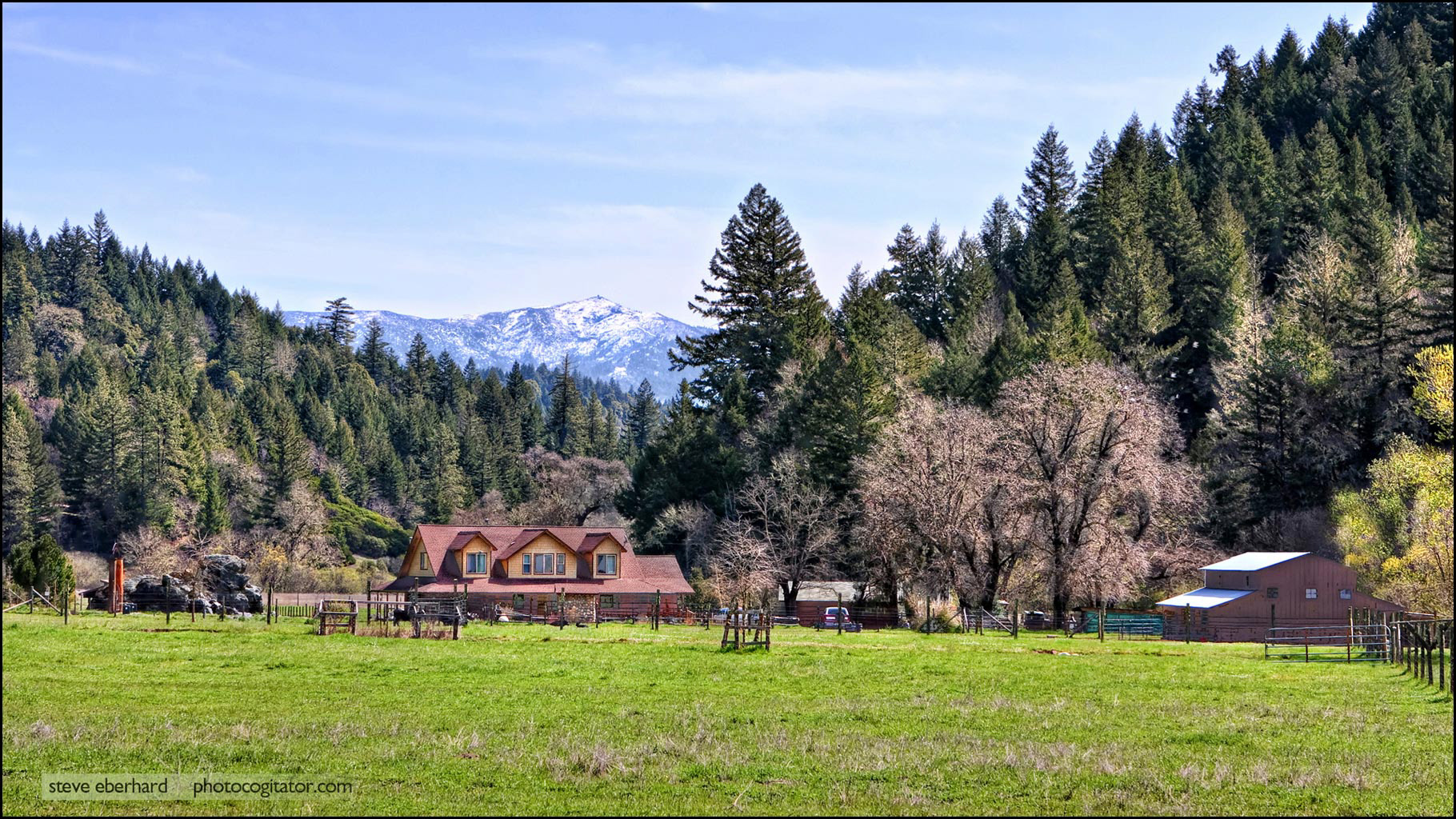 Rock Tree Valley