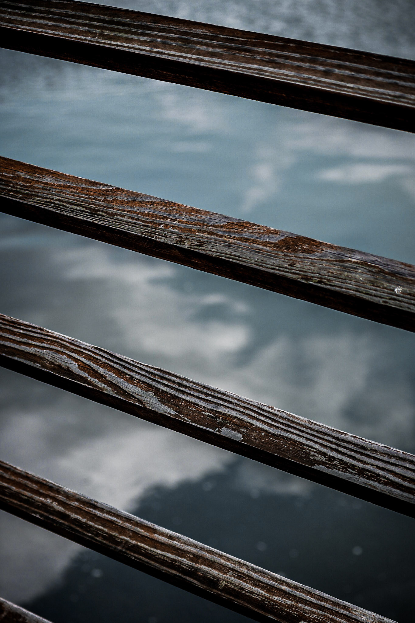 Grant Stull Photography