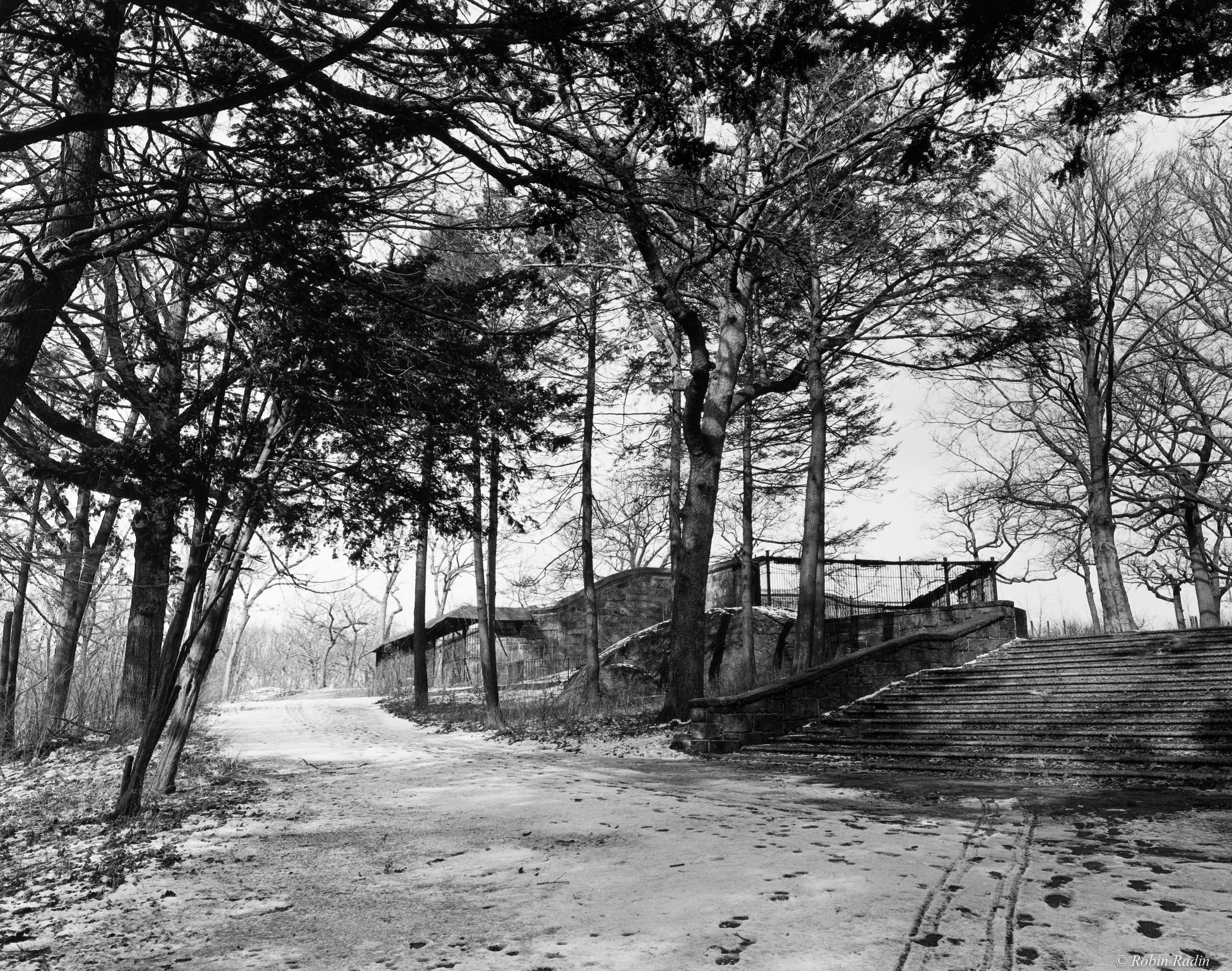 Stairway to Bear Dens, Franklin Park, Jamaica Plain, MA.