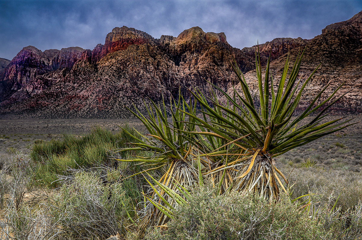 Red Rock Natioanl Monument