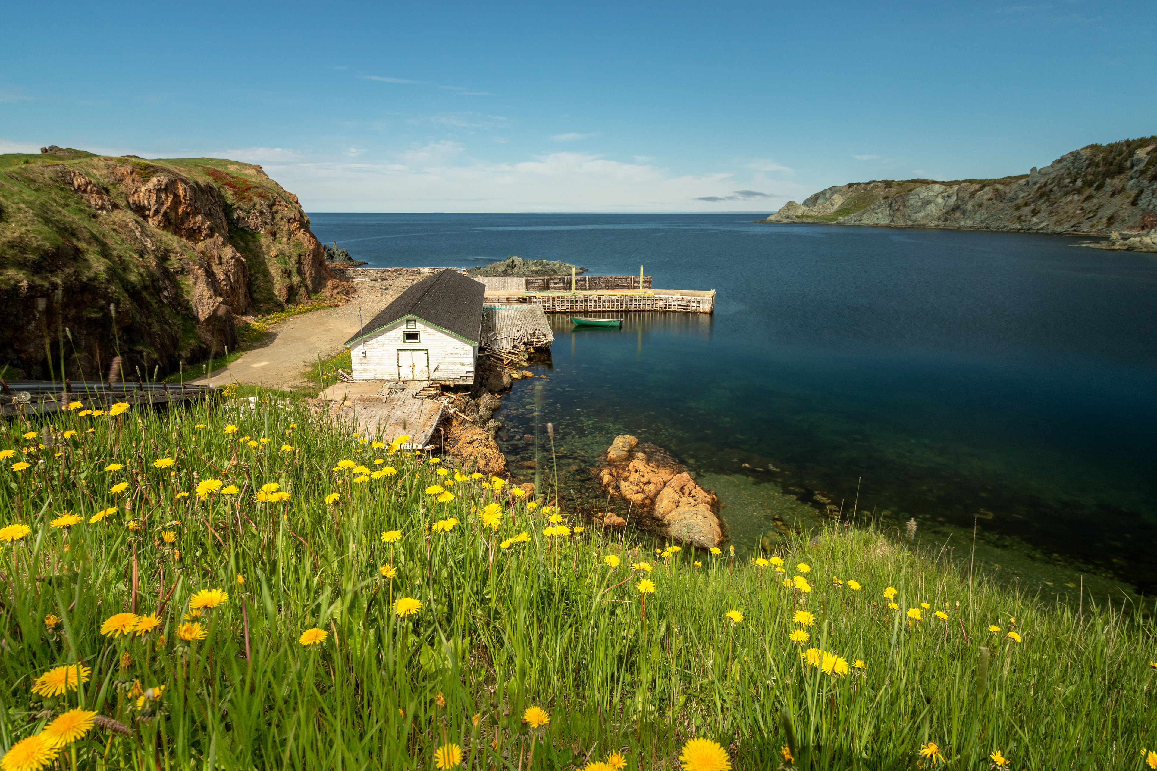 Twillingate Coast
