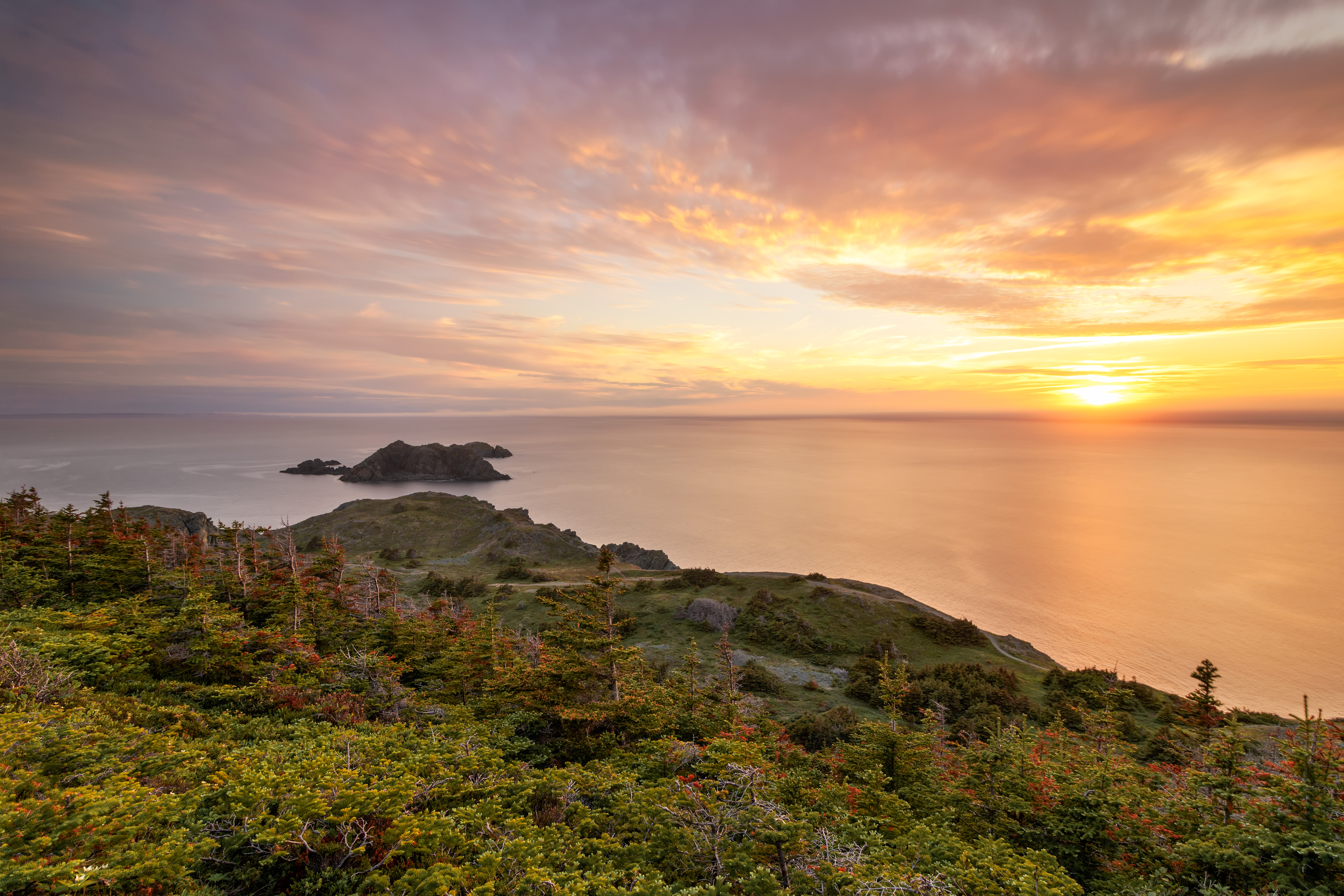 Long Point - Twillingate Coast