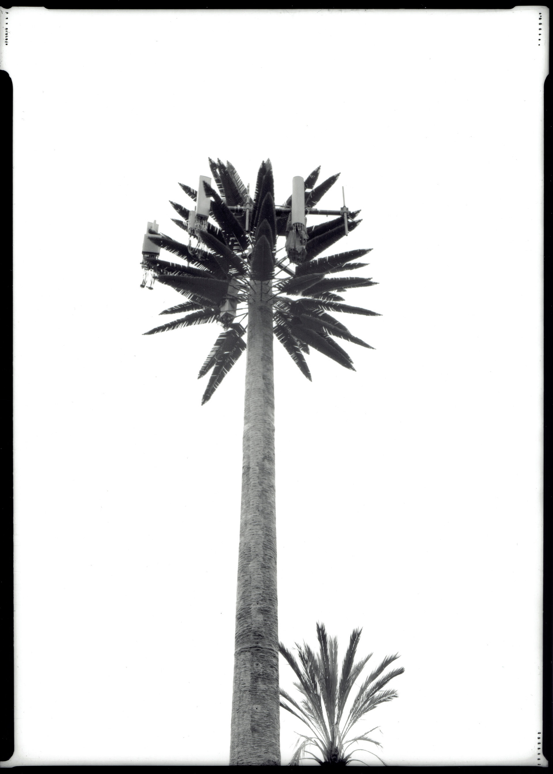 Cell Tower