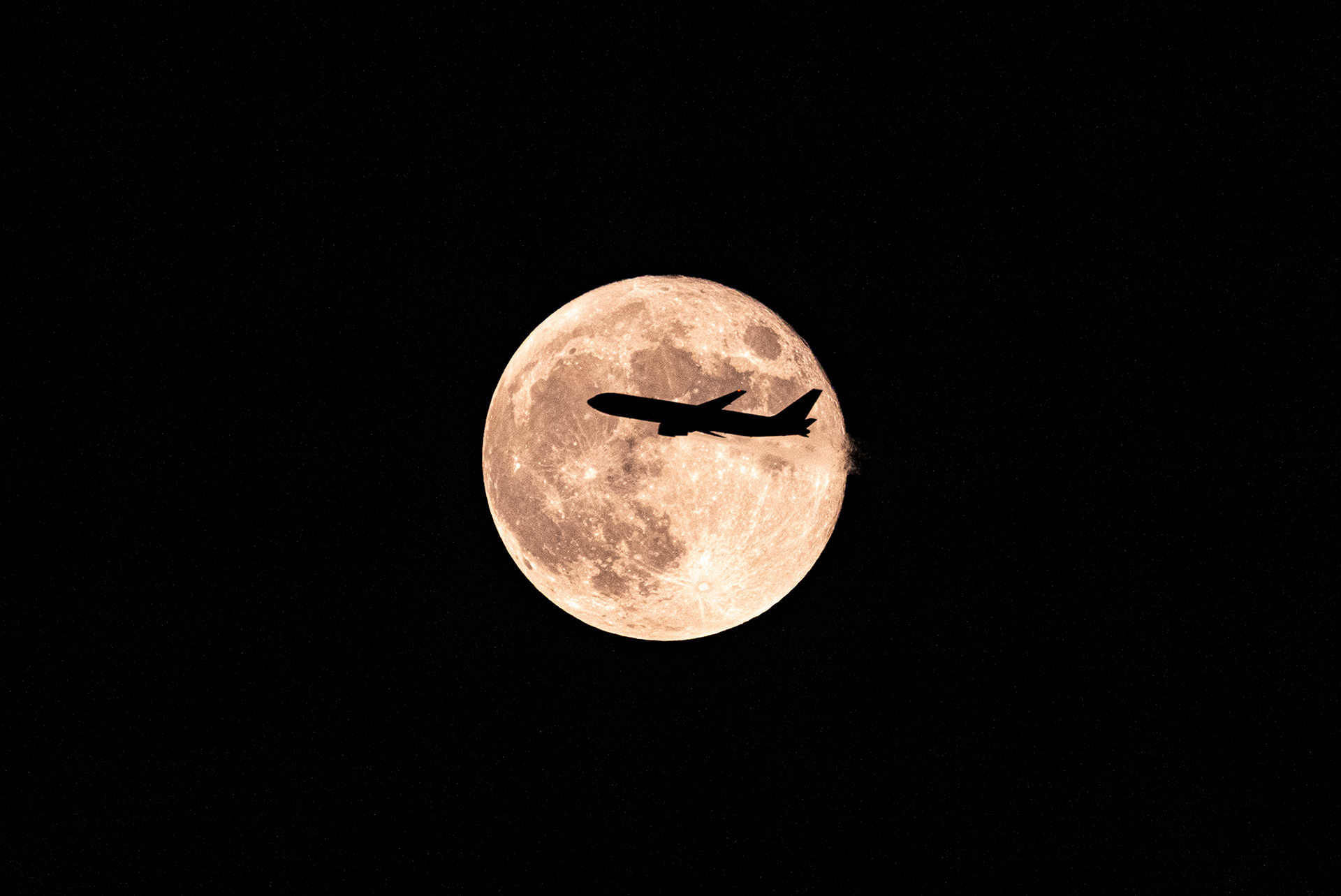 Fly in the moon／東京都