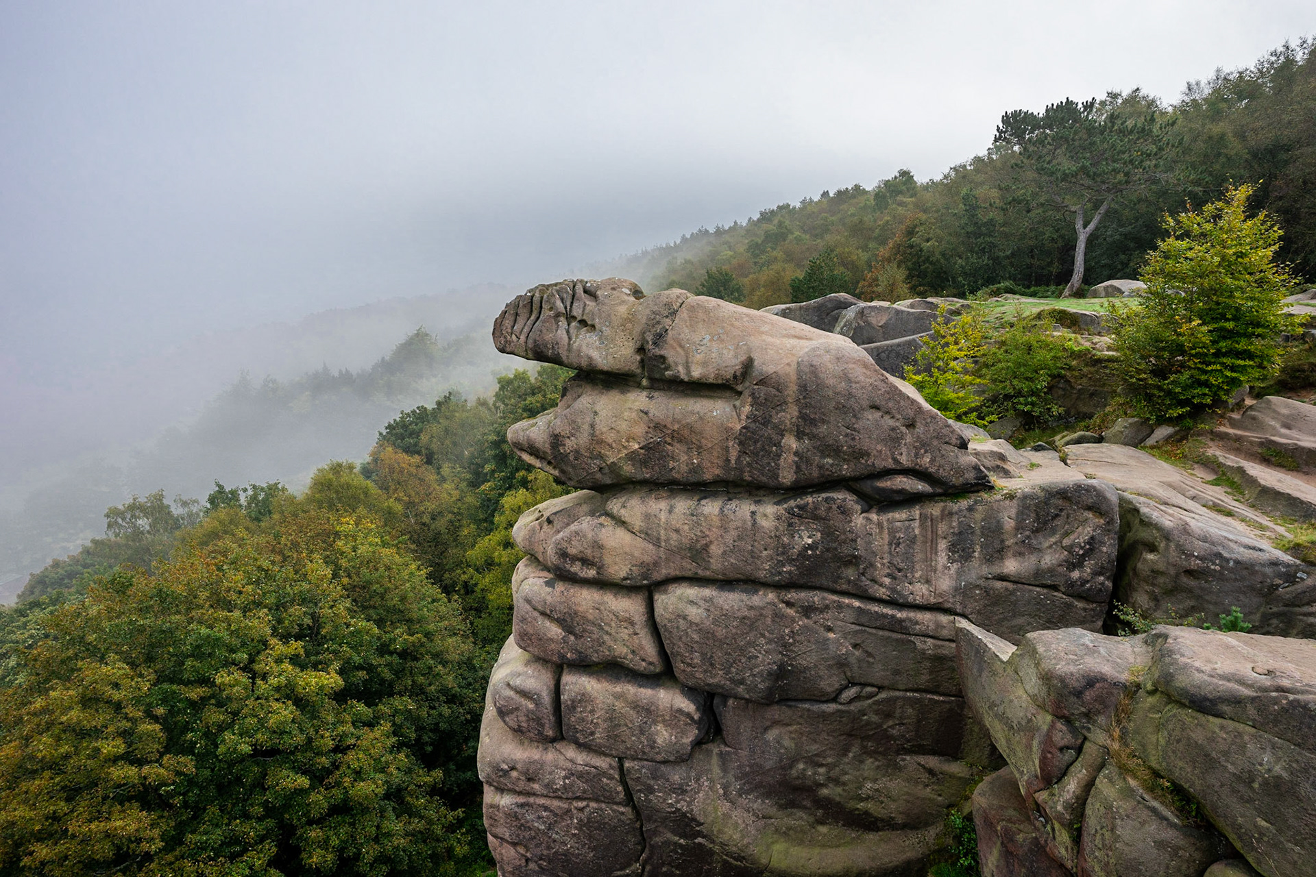 Morning Mist