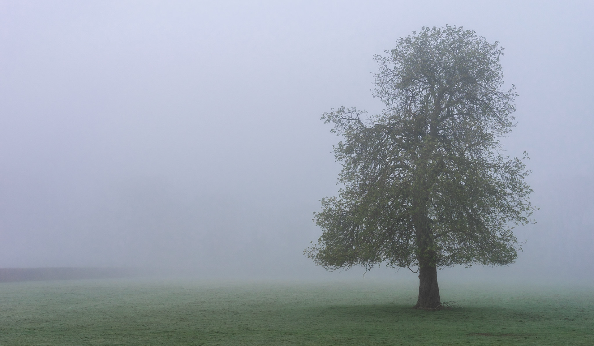 Solitary