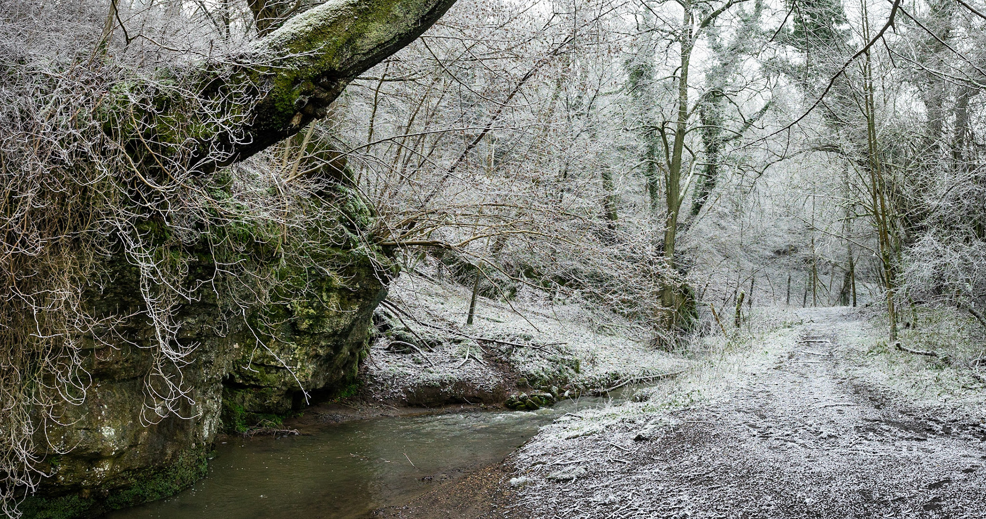 The Brook