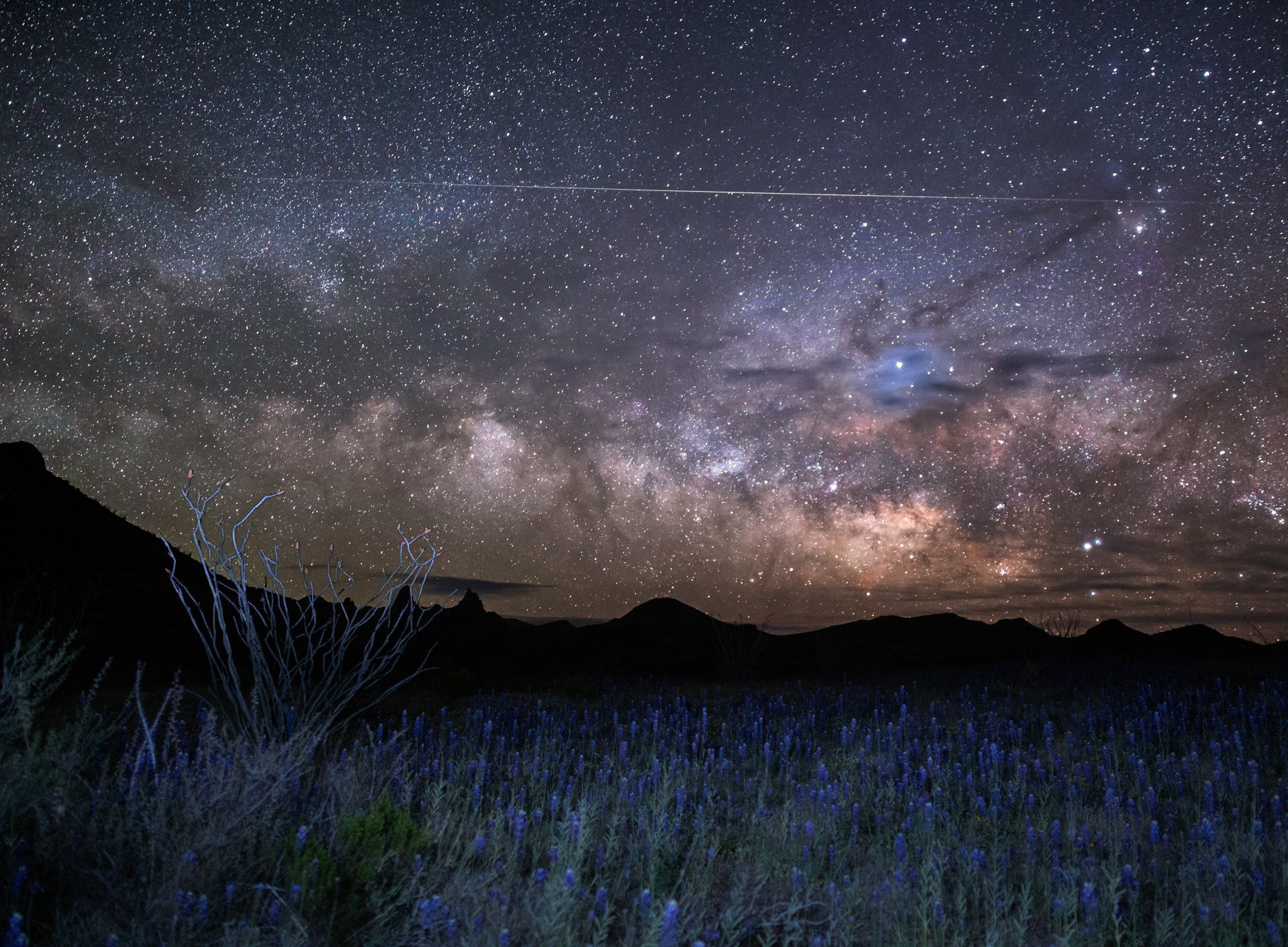 Chisos Bluebonnets, Mule Ears and a Meteor - March 2019 in Big Bend National Park