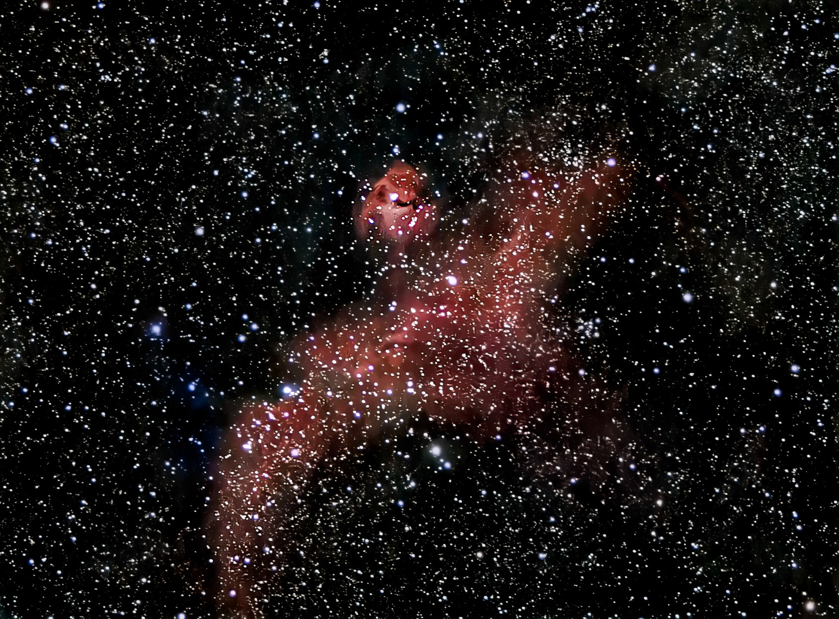 Seagull Nebula