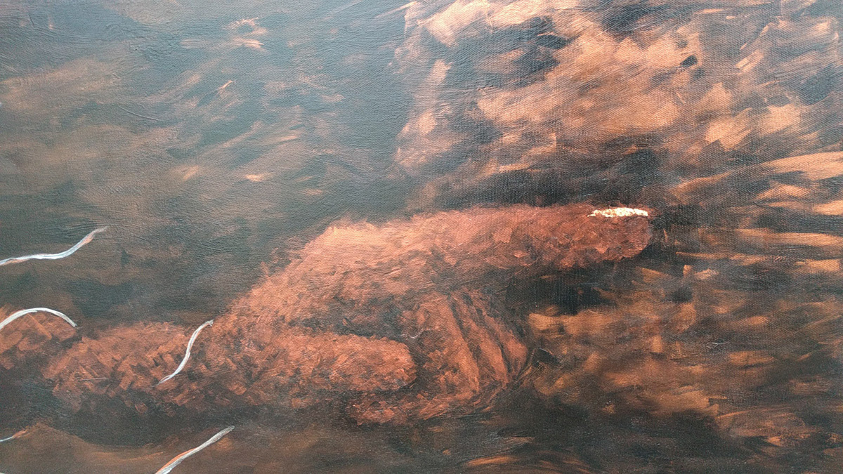 meconnaissance detail