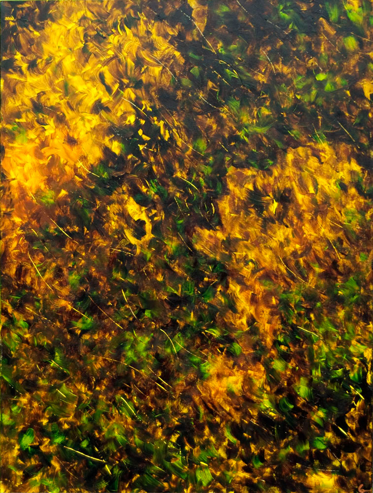 Fill My Mouth with Butterflies. 2010. 40" x 30"
