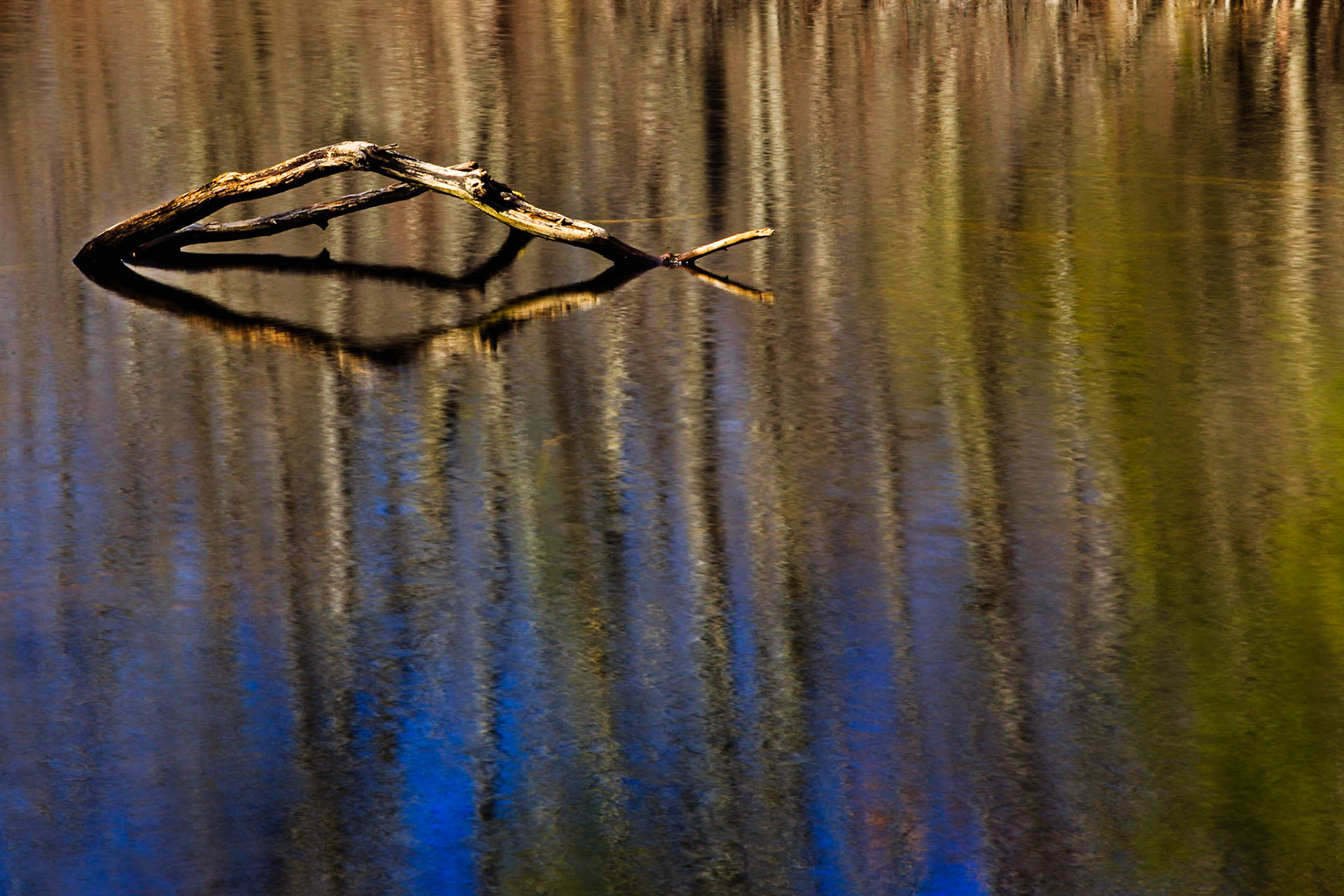 Shimmering waters along the bog trail early spring at Beaver Lake Nature Center