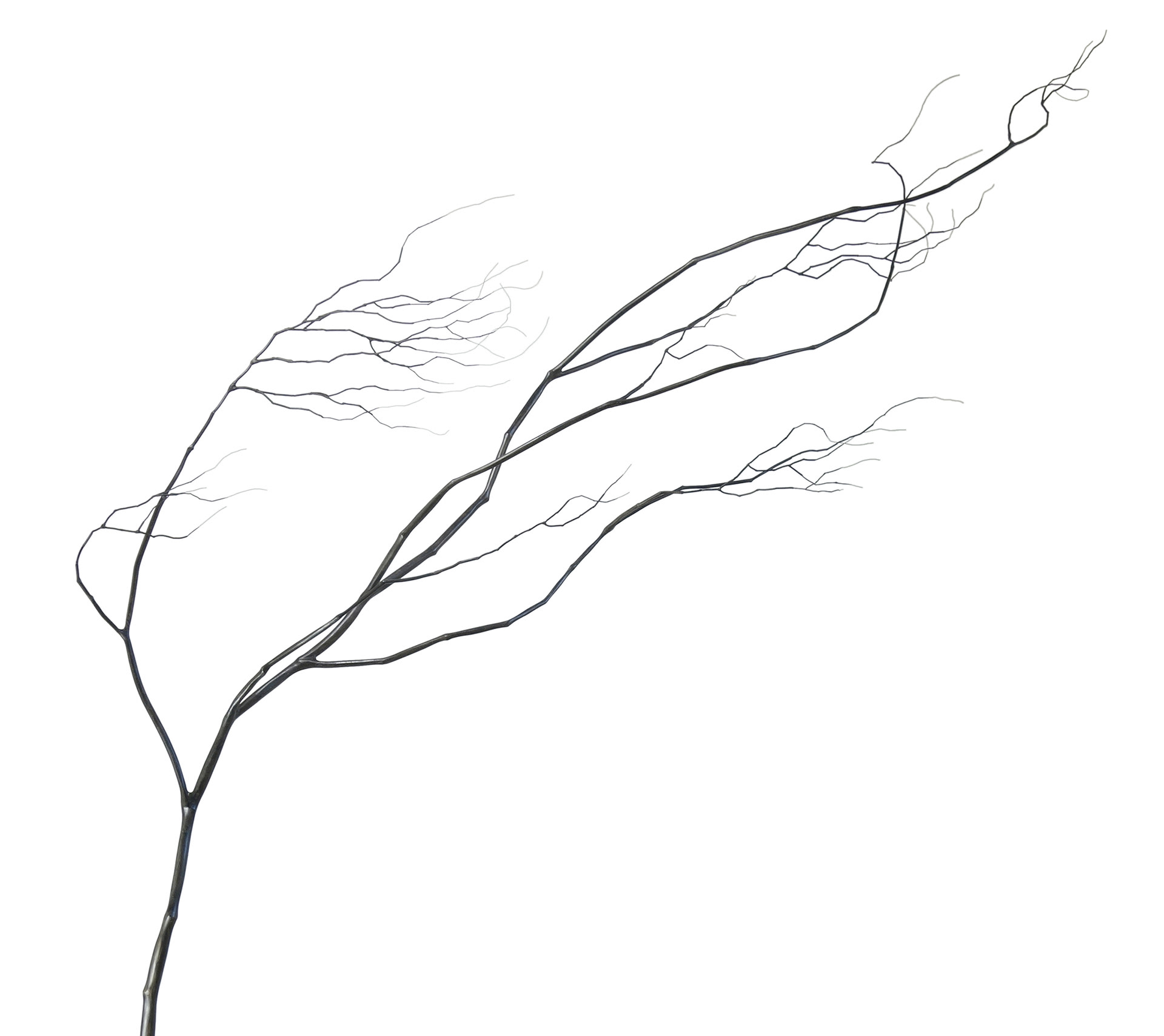 Détails sculpture arbre