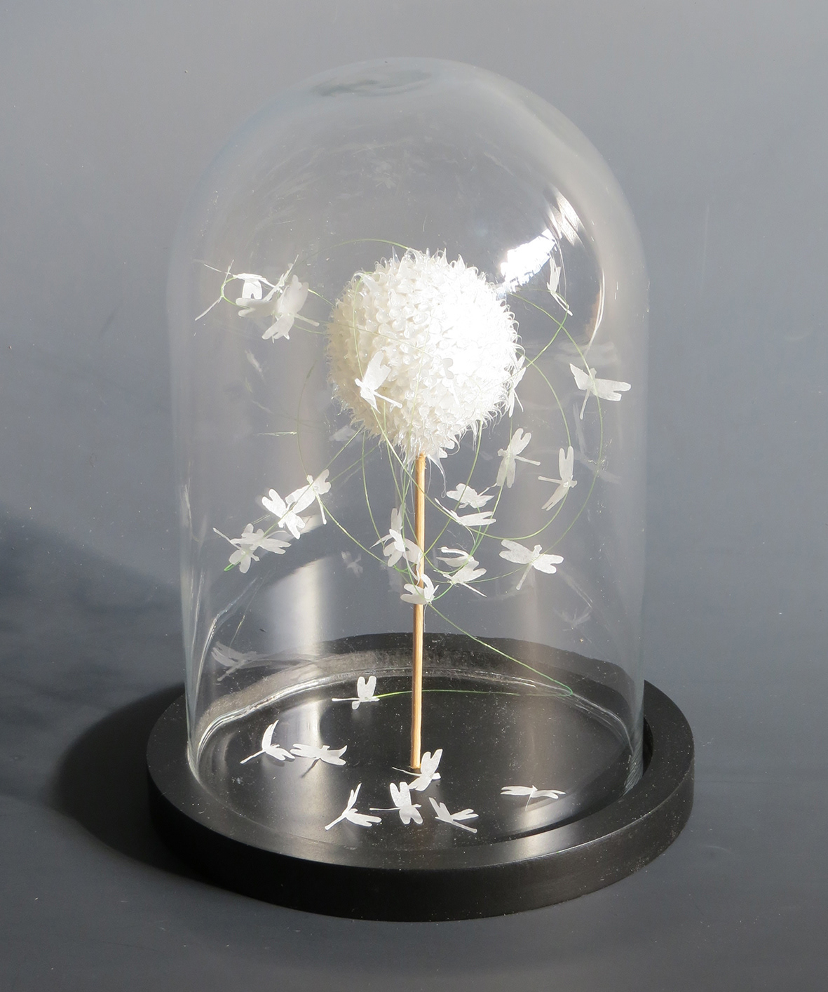 Sculpture en papier sous globe Fleurs de mémoire Libellule 240€