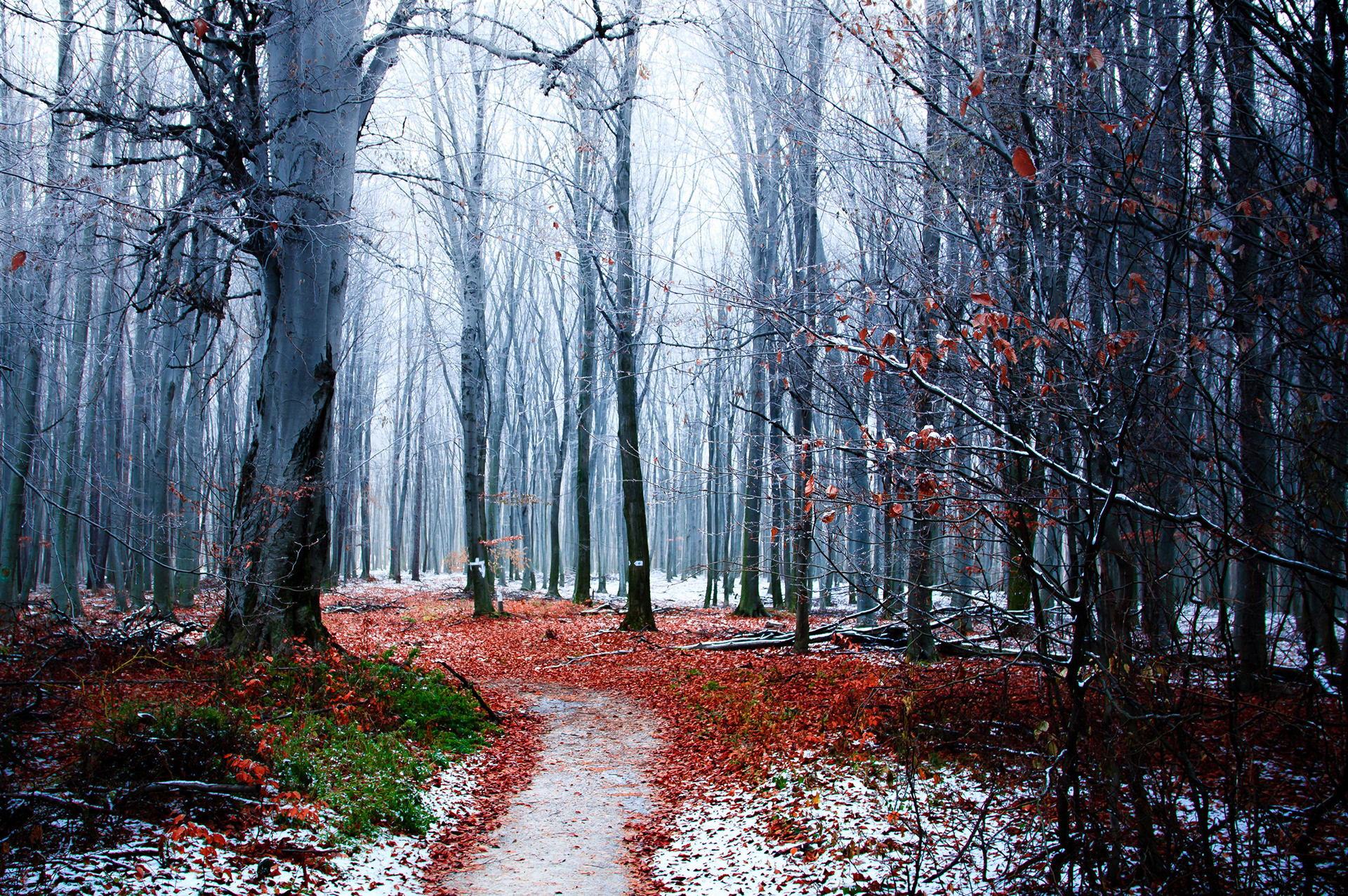 2017 - Bakony - W Hungary