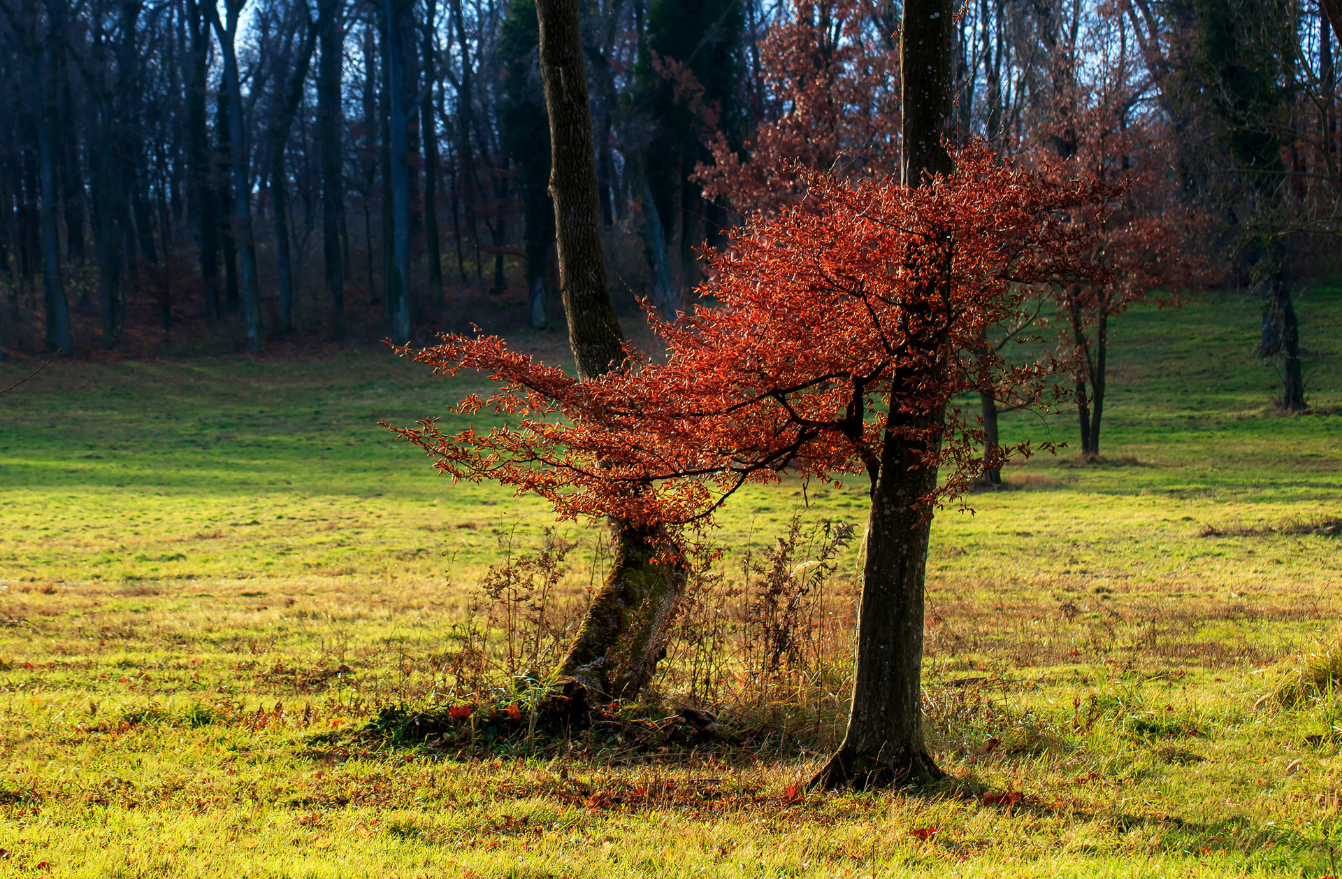 2017 - Somlo - W Hungary