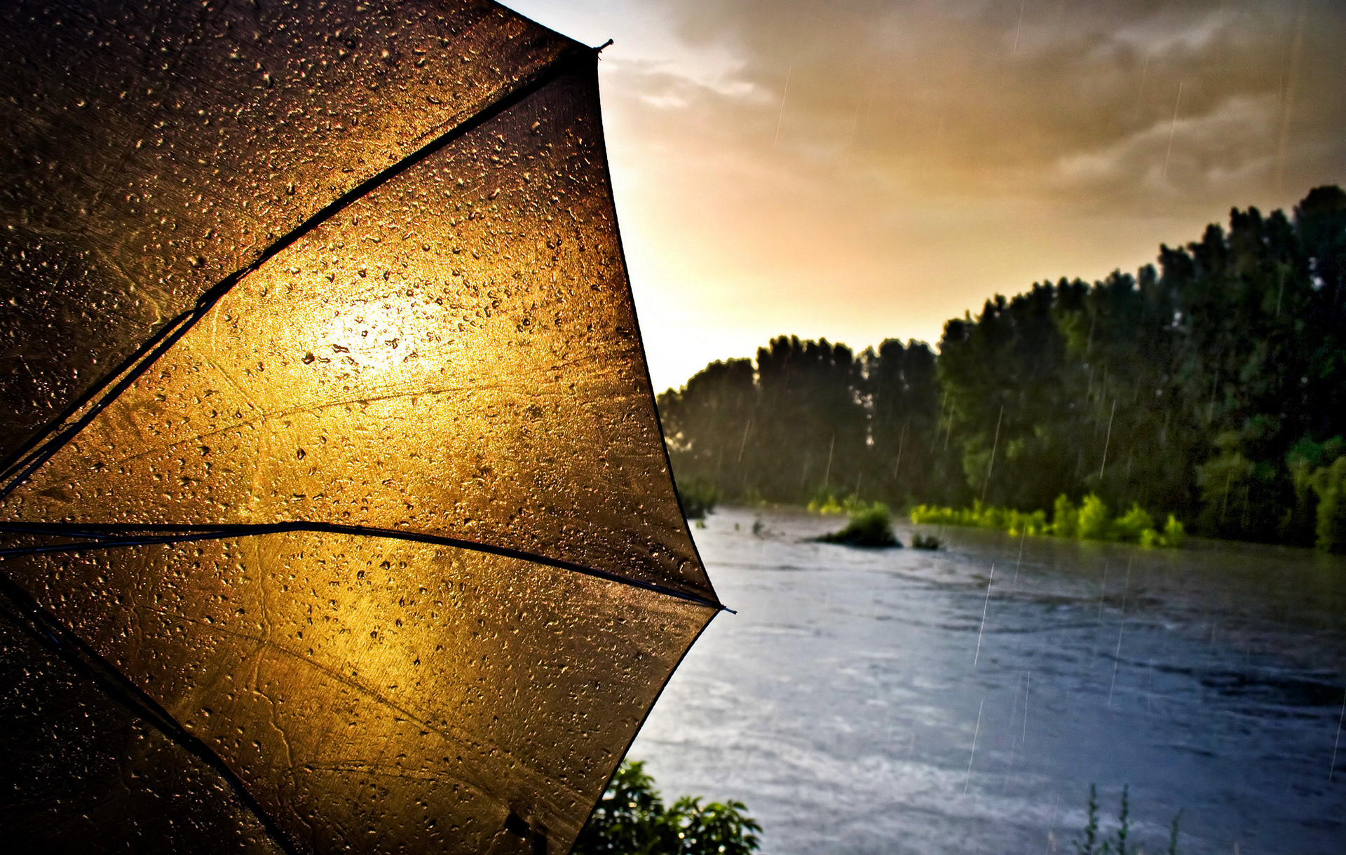 2011 - Rába river - W Hungary