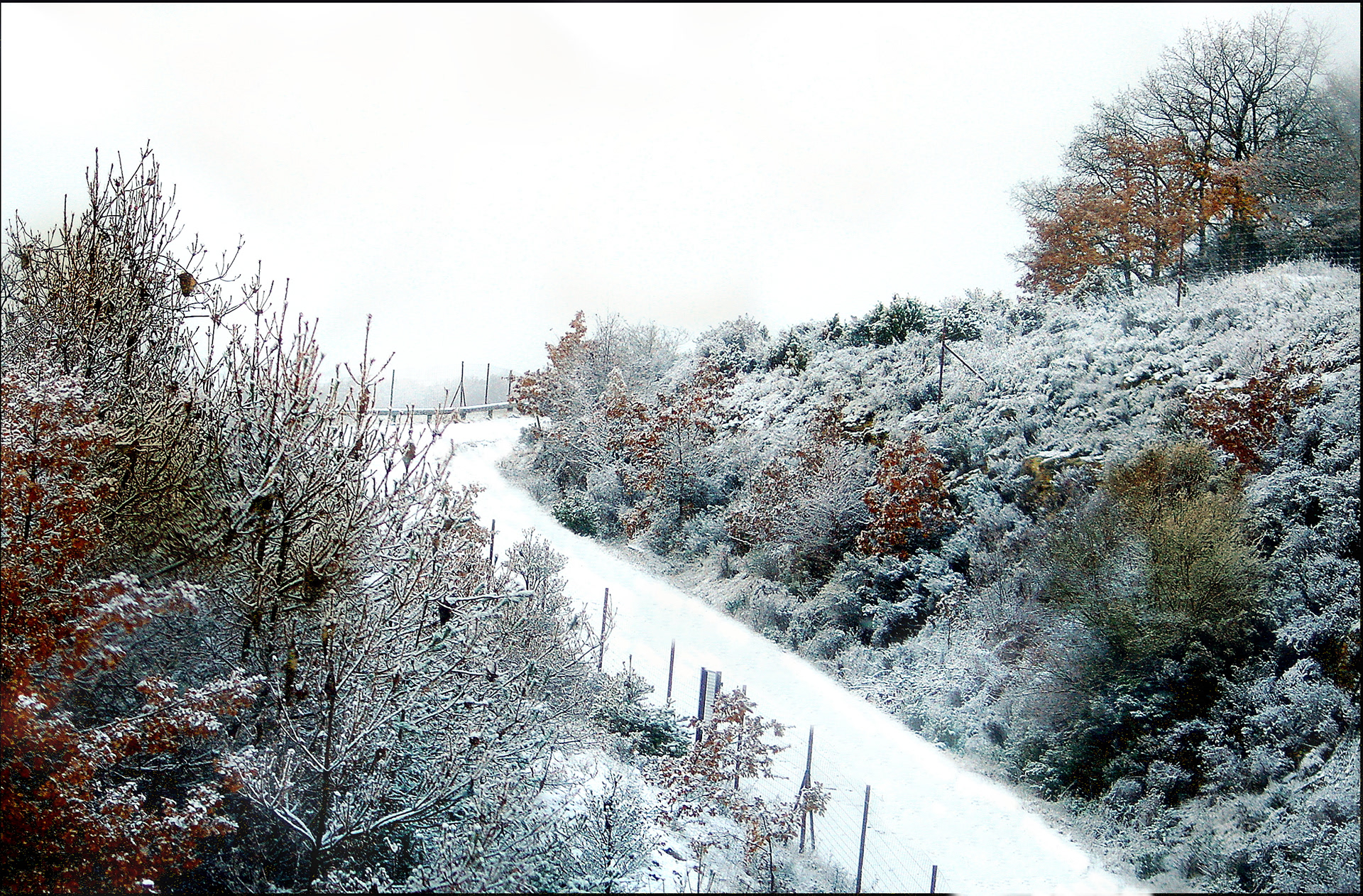 Hiver cévenol 3
