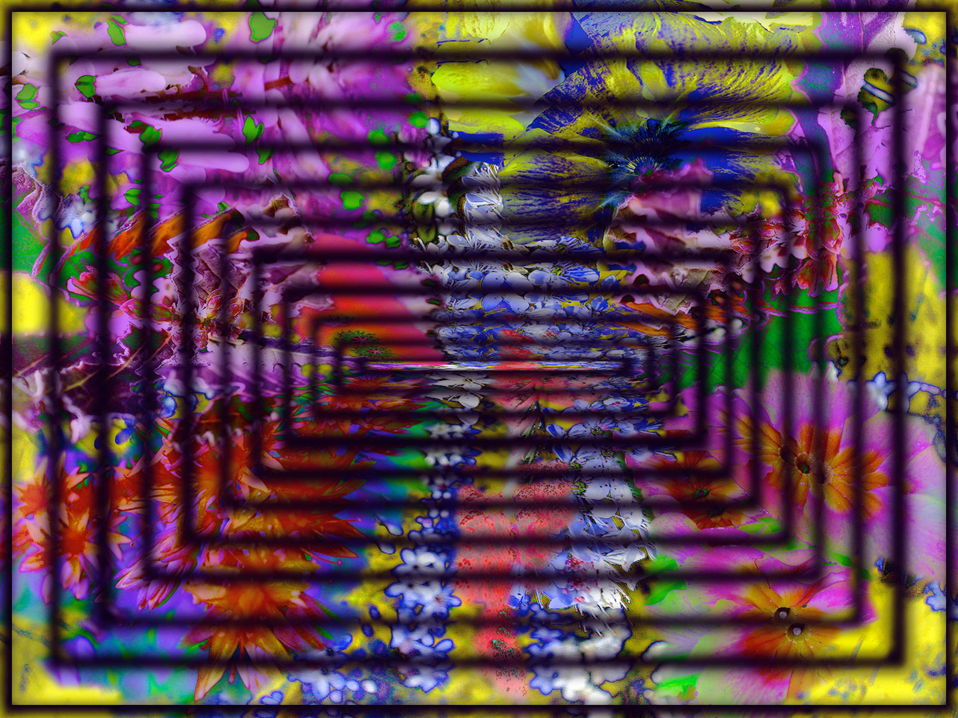 L'ASCENSEUR