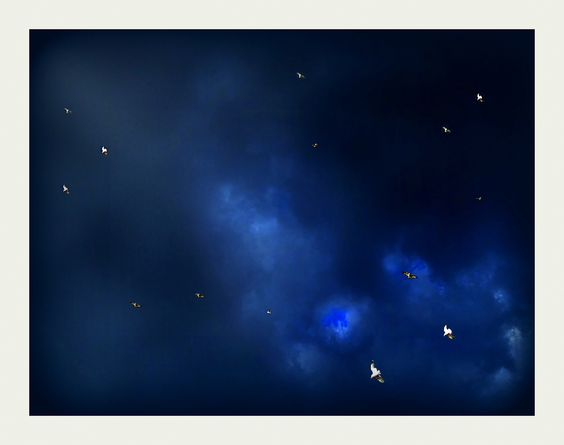 Envolée nocturne