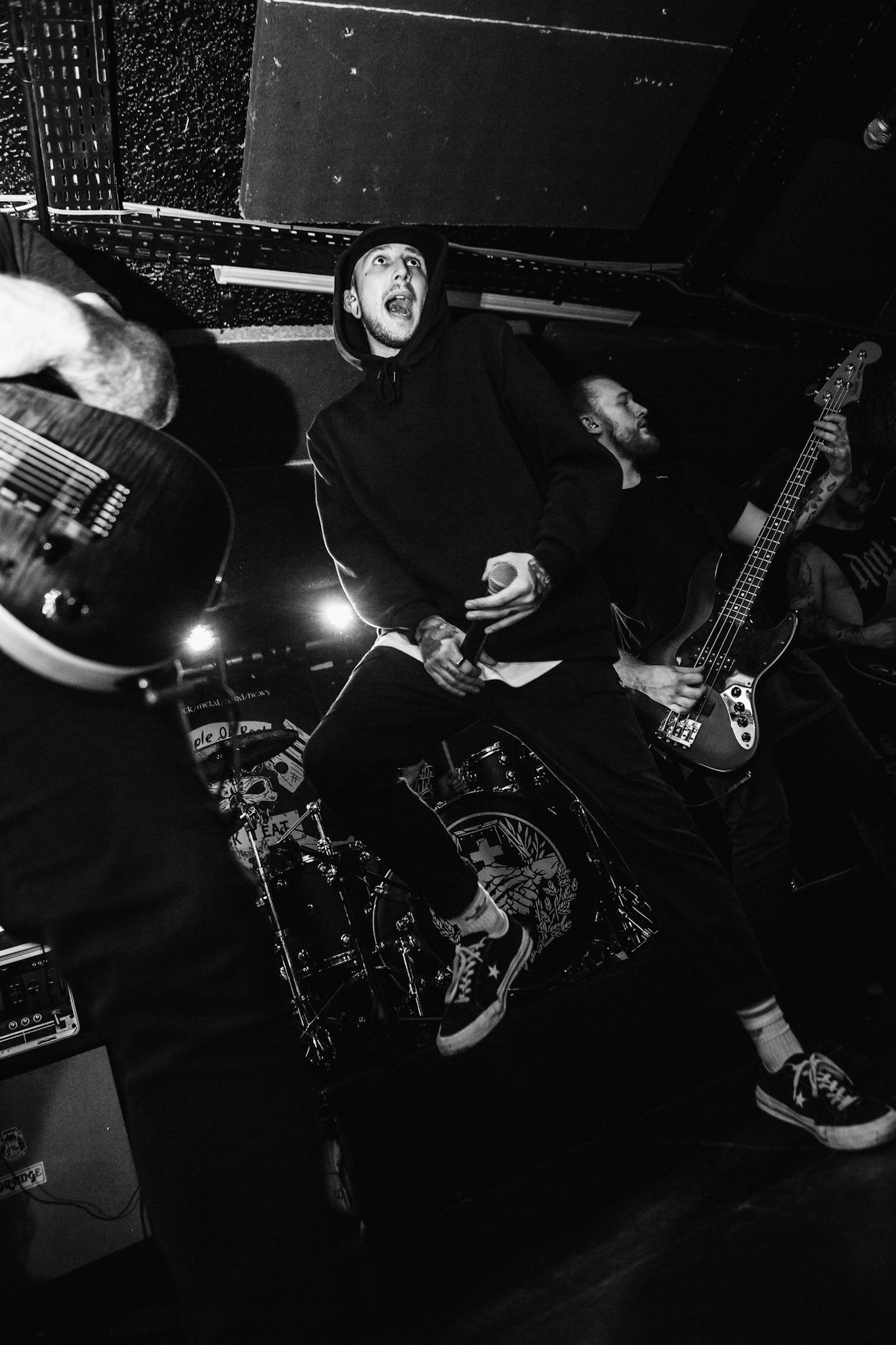 Our Hollow Our Home