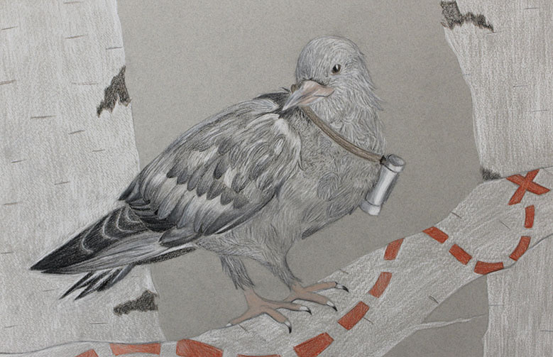 "Messenger", Colored Pencil