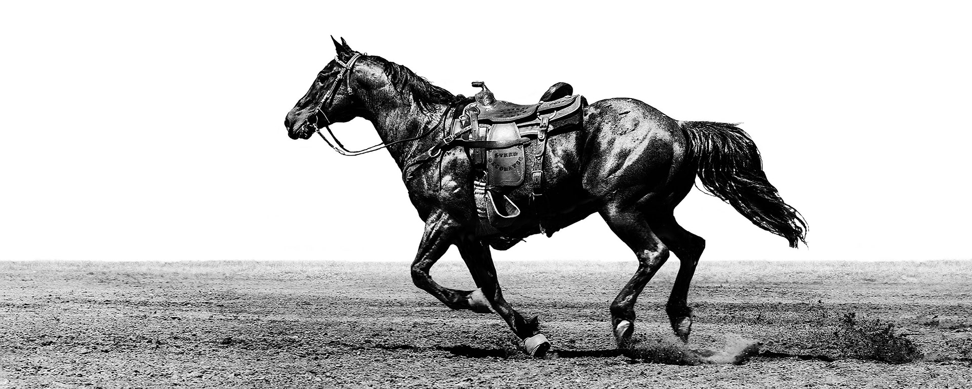 The Lost Cowboy