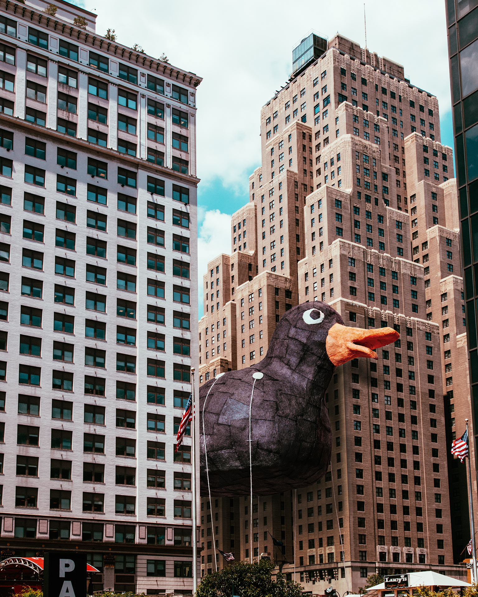 Danny Duck