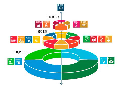 Soil-Related Sustainable Development Goals