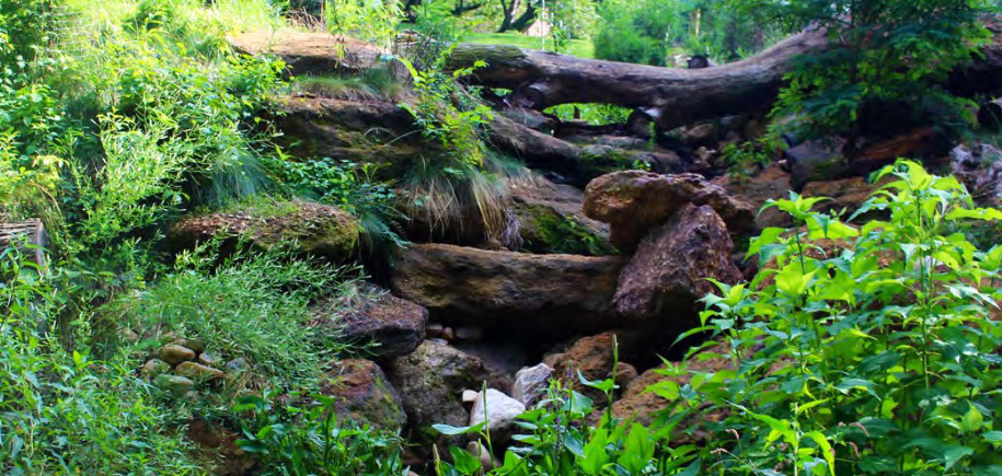 Green Infrastructure: Engineering to Benefit Business and Biodiversity