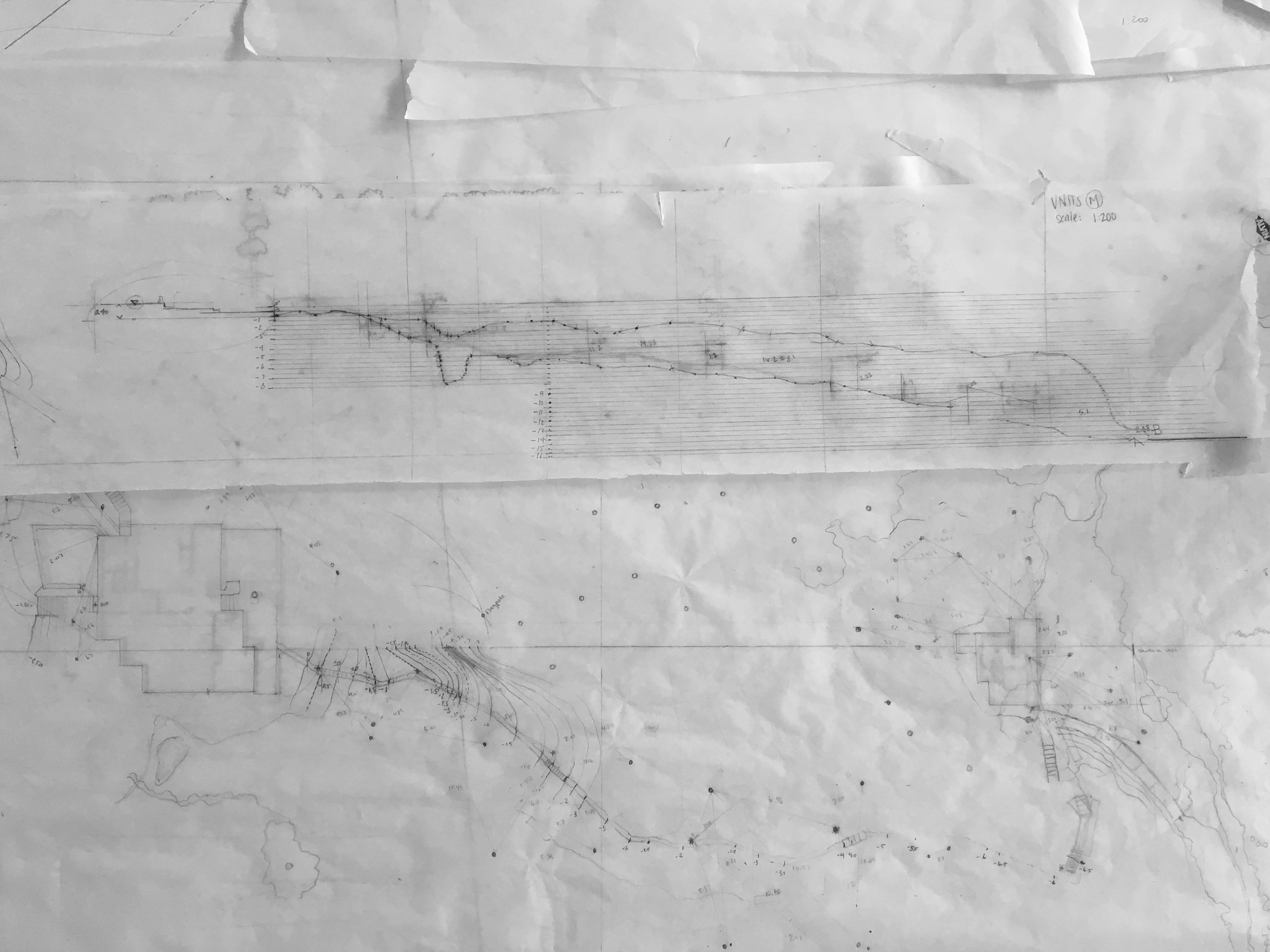 elevation + tree mapping