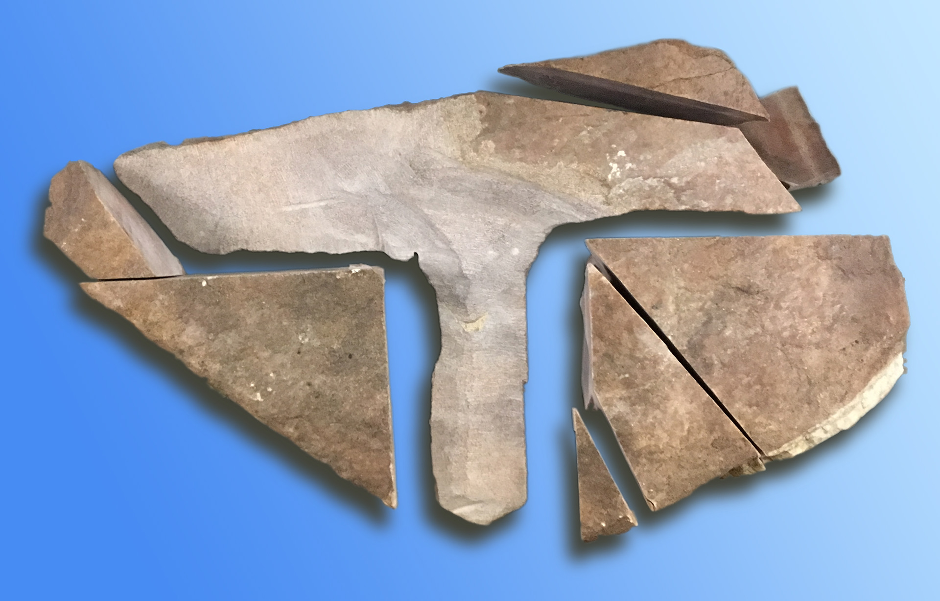 Adze head cut from stone