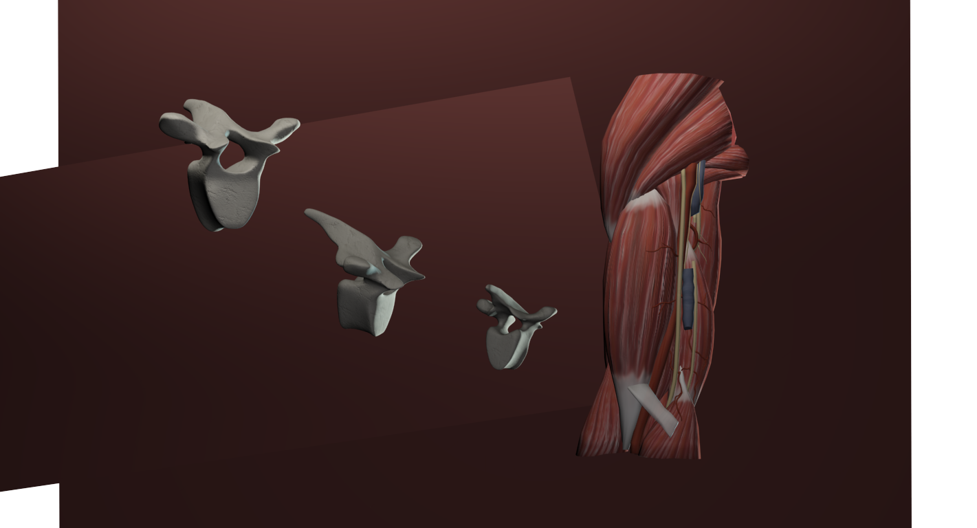 Still Image , Final Composition
