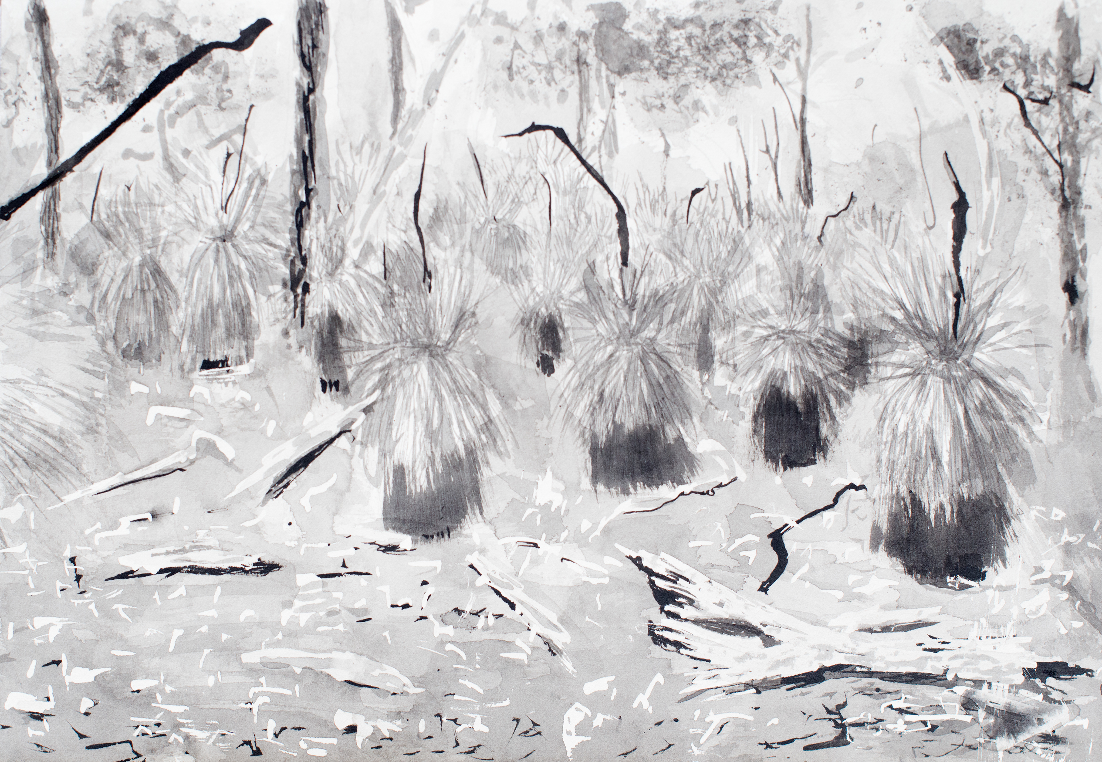 Jane Mullett - Diploma of Visual Arts