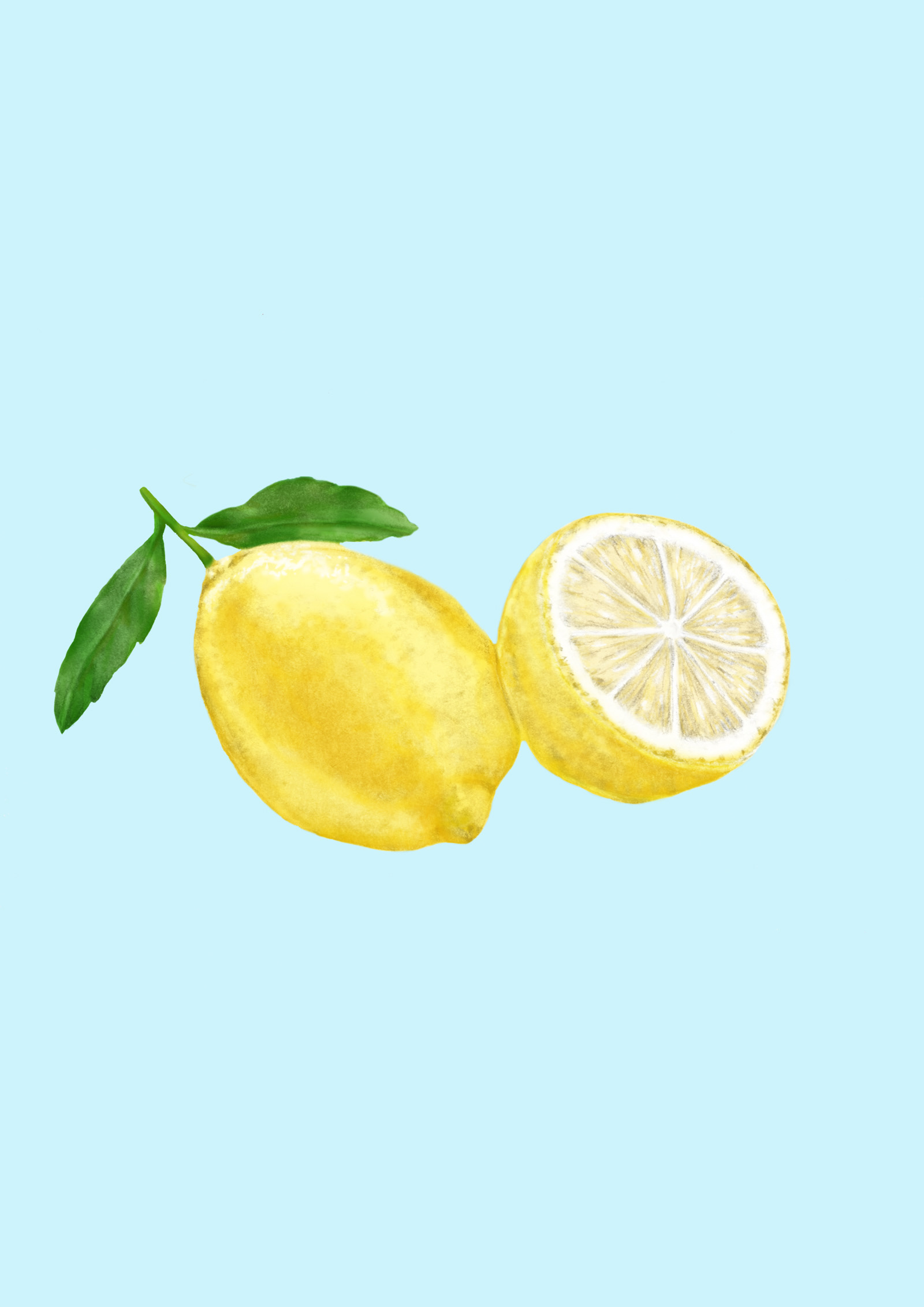 Julia Scarmozzino - Advanced Diploma of Creative Product Development