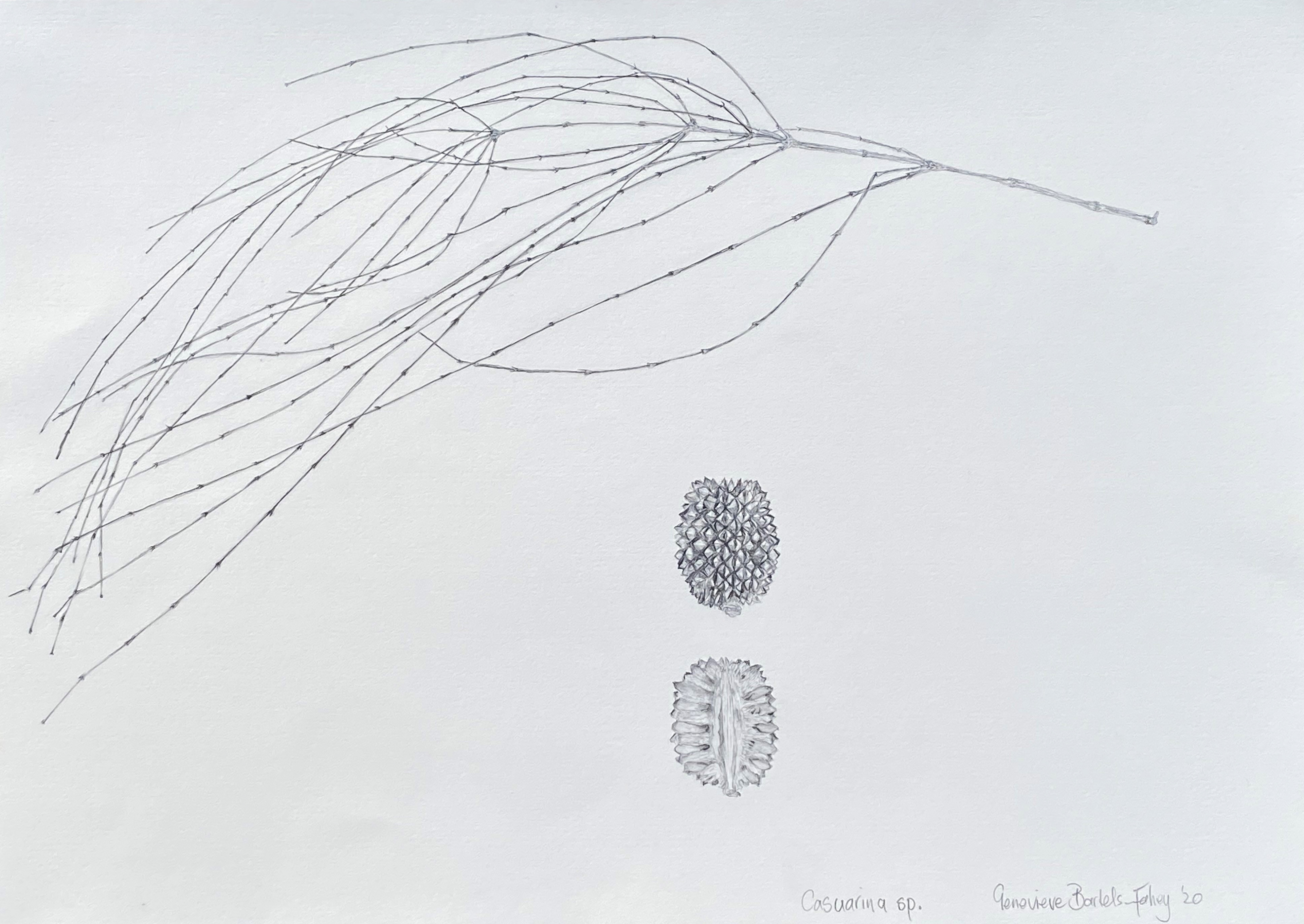 Genevieve Fahey - Certificate IV in Visual Arts