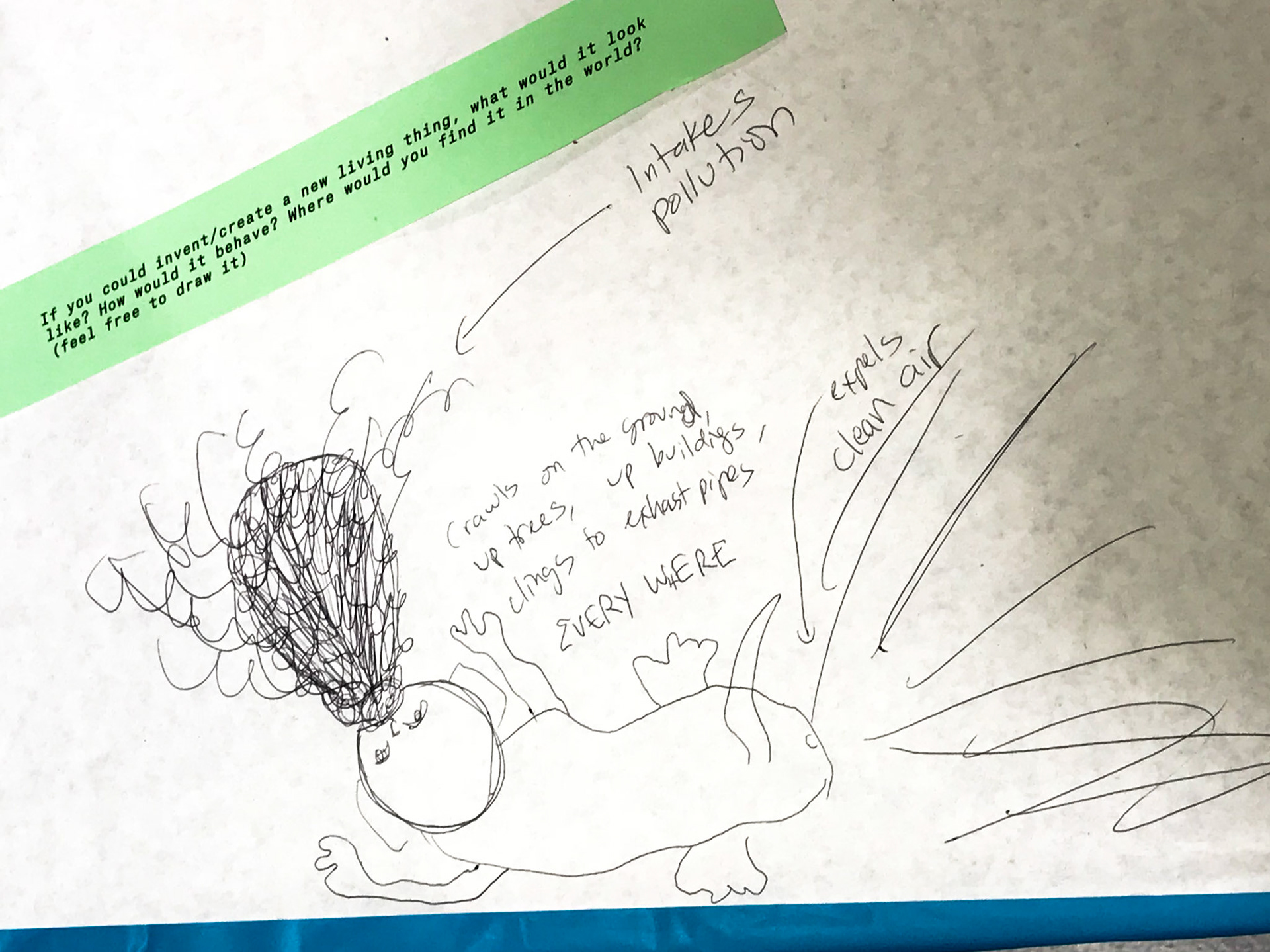 If you could create a living thing.