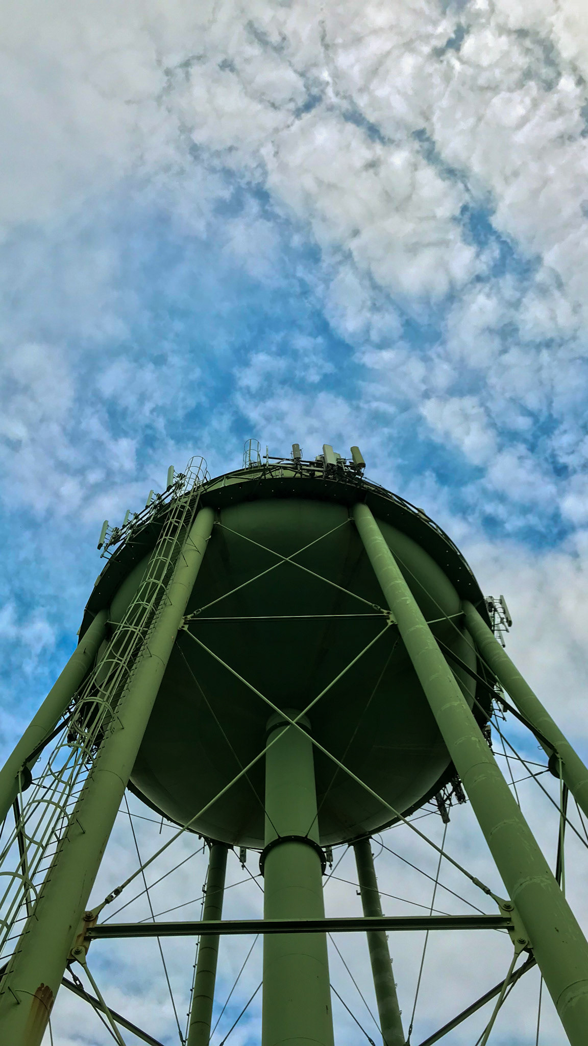 Did I mention? Look up!