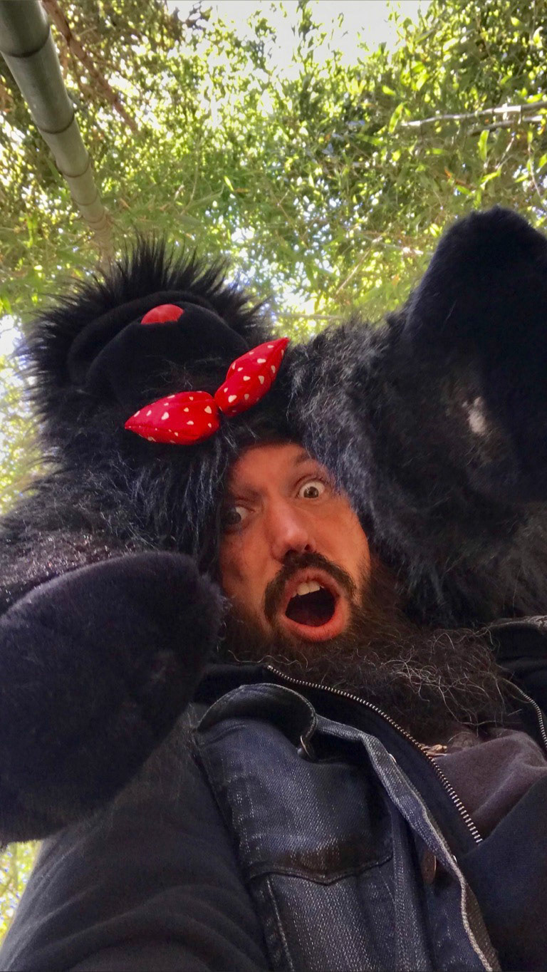 Look up at the gorilla.