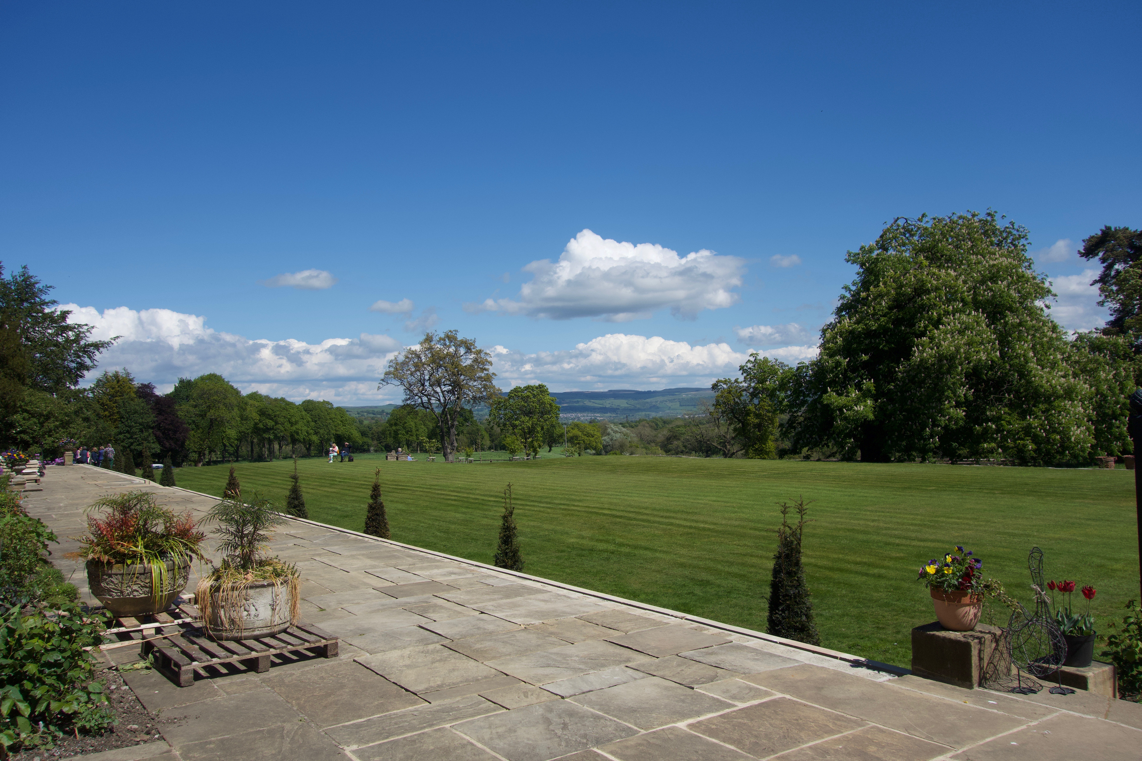 Maghull and Lydiate Art Group Rosemary & Co.