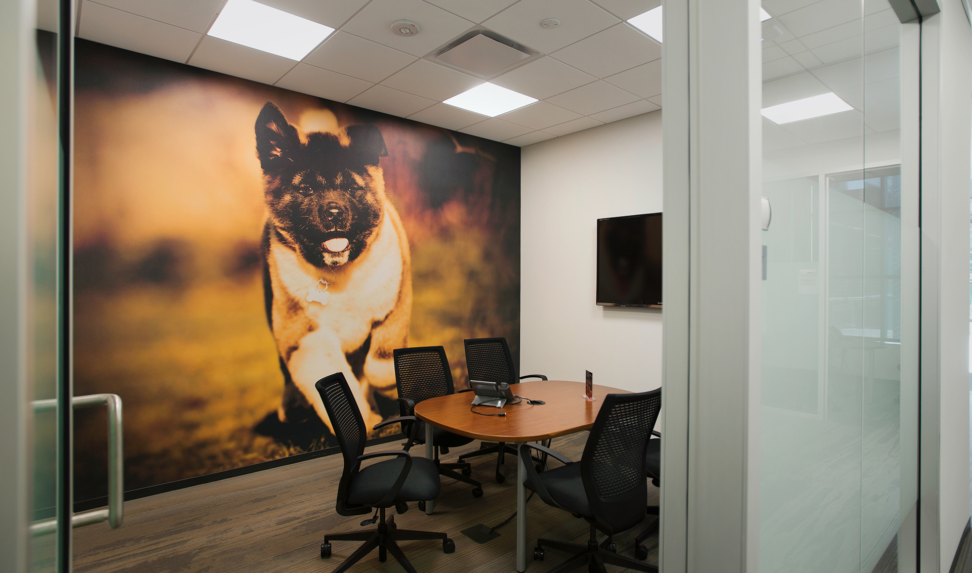 Brand Imagination Petco New Corporate Headquarters Experience