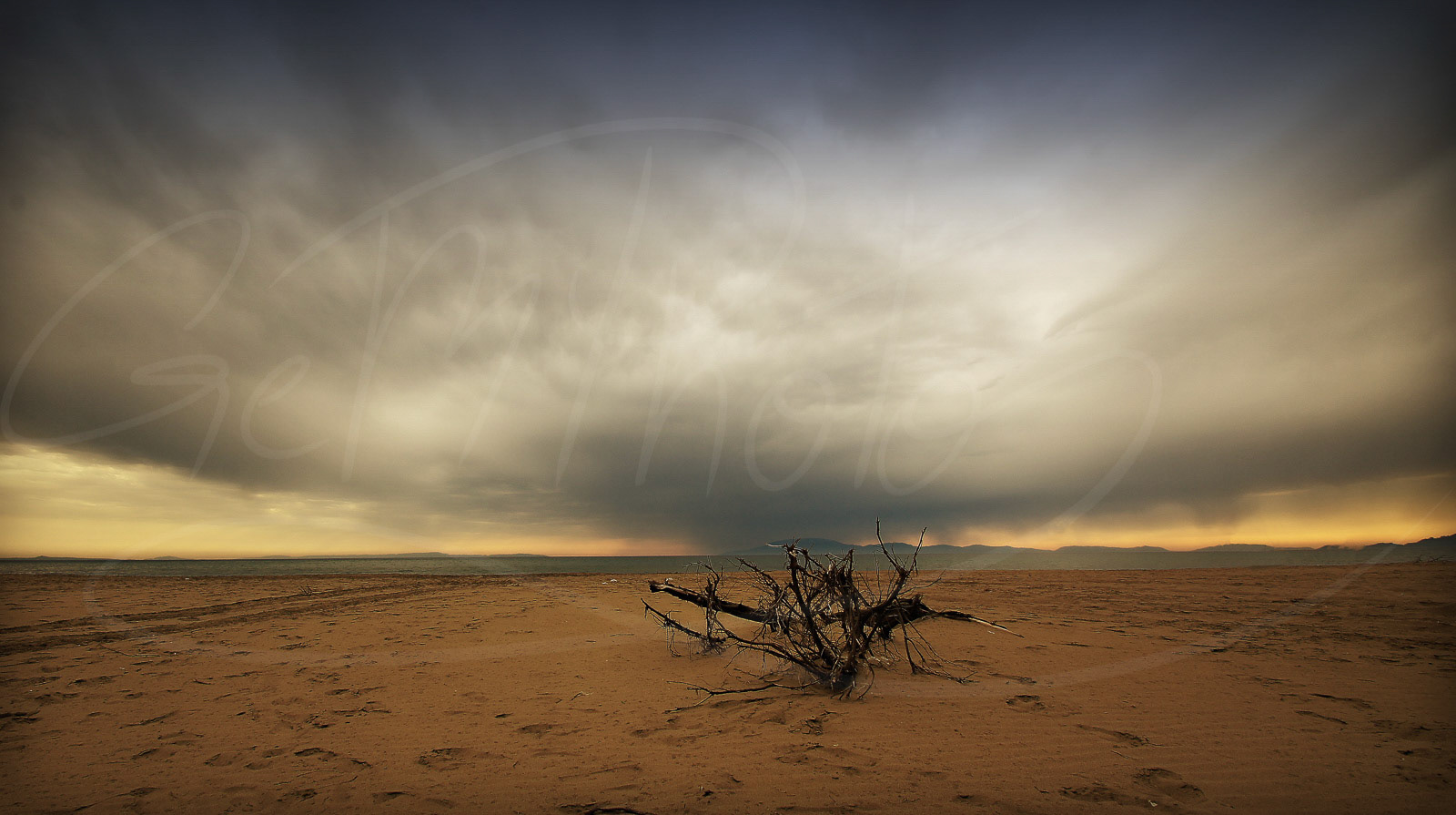 Storm brewing